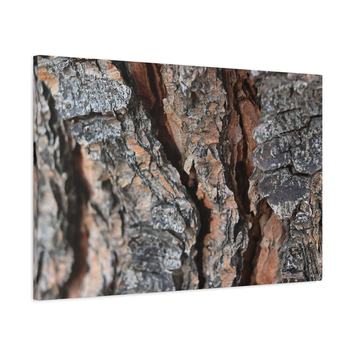 Rough Whispers - Unique Frameless Canvas Wall Art