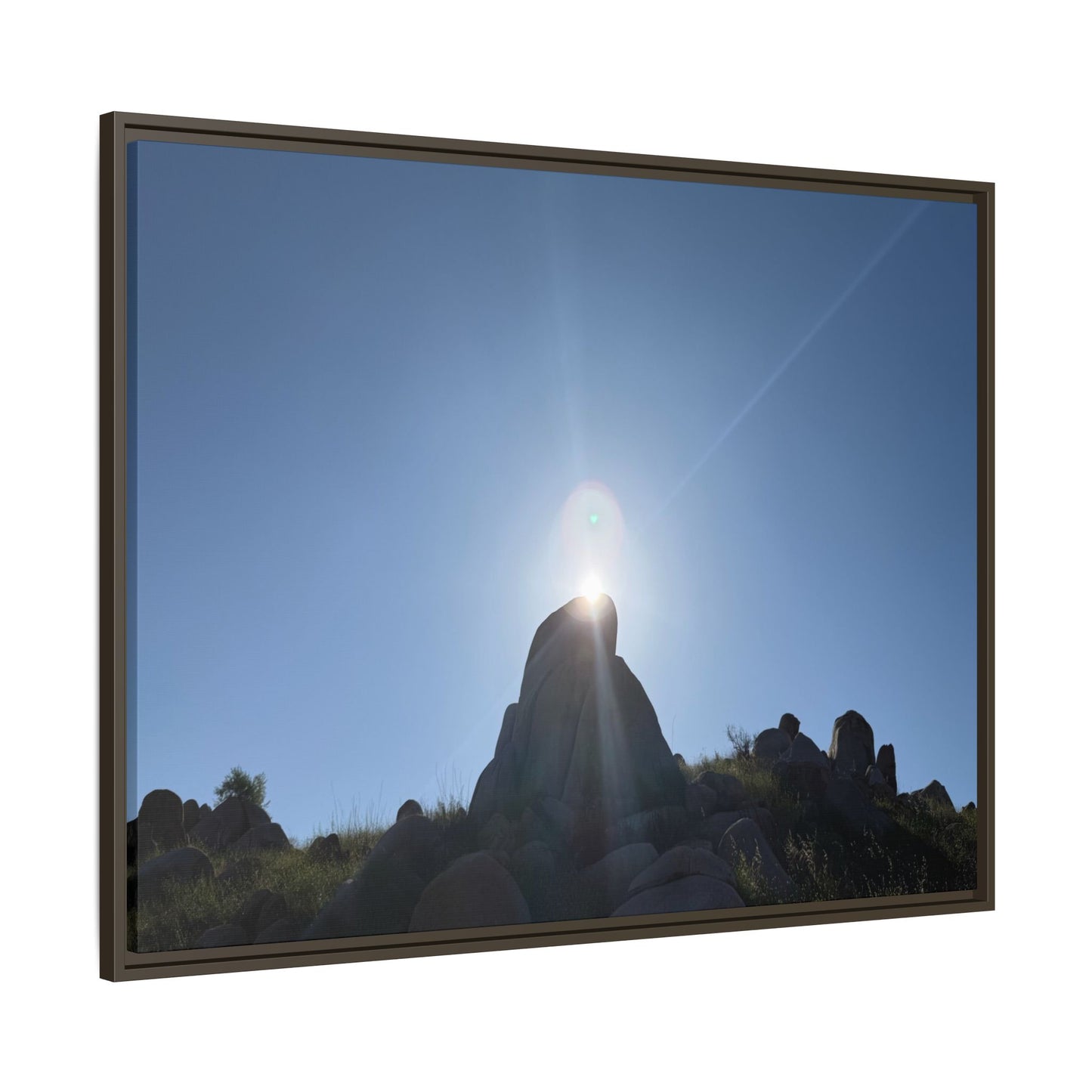Sunburst - Unique Stretched Canvas Wall Art