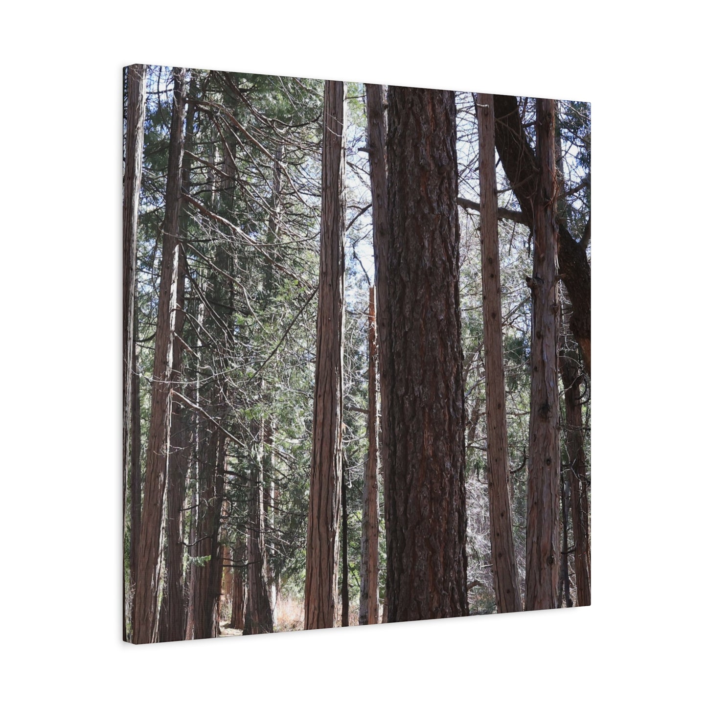 Vertical Sentinels - Unique Frameless Canvas Wall Art