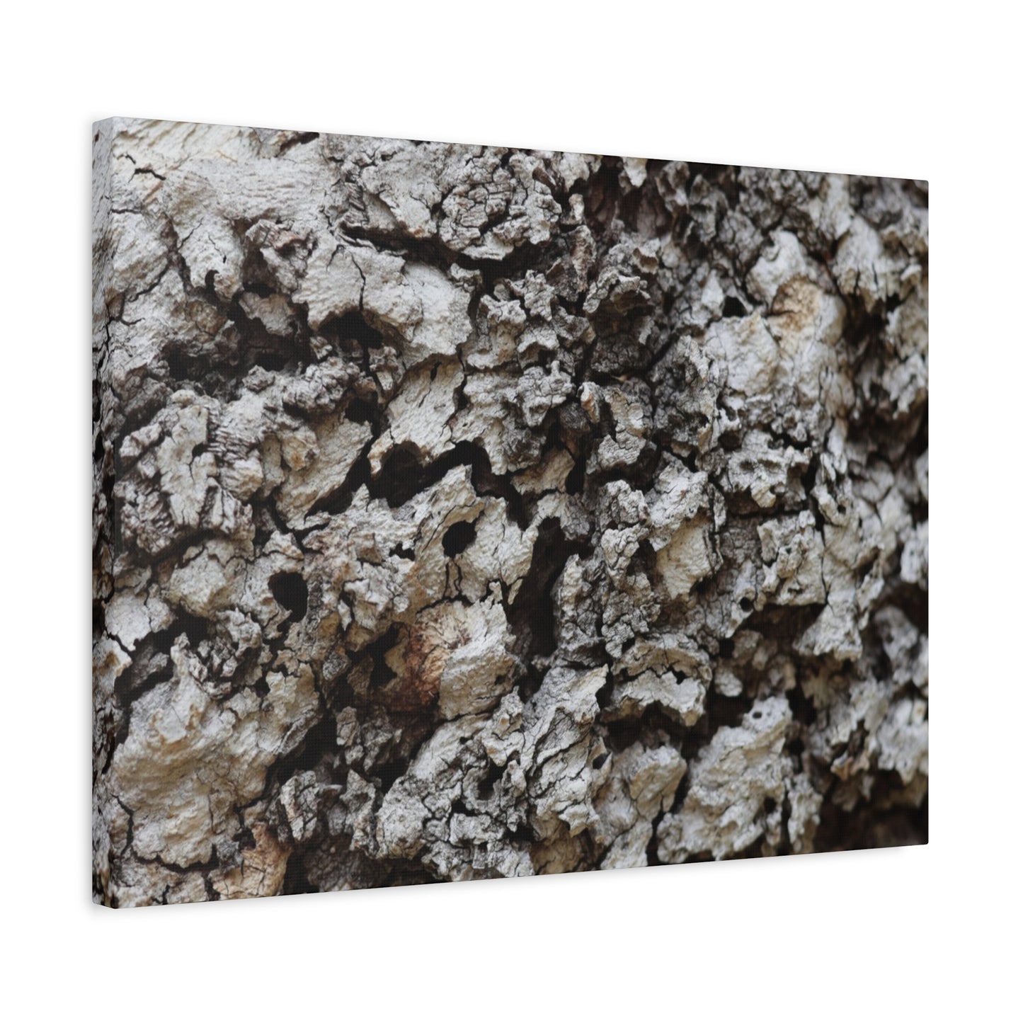 Cracked Earth Tapestry - Unique Frameless Canvas Wall Art