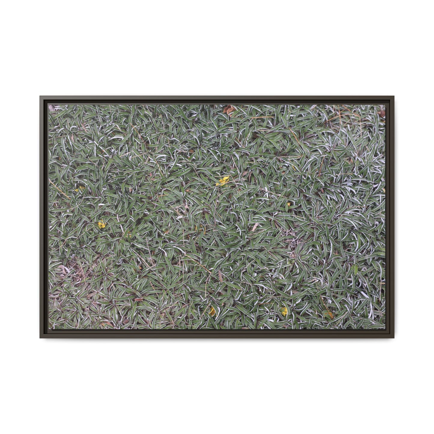 Grassy Texture - Unique Stretched Canvas Wall Art