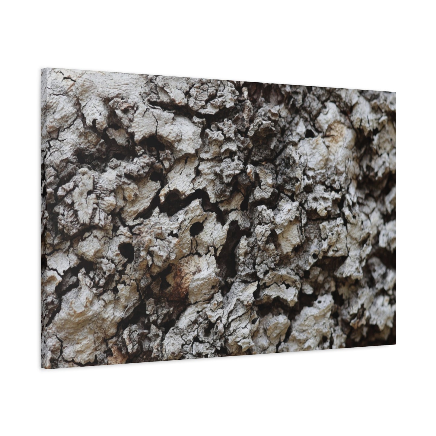Cracked Earth Tapestry - Unique Frameless Canvas Wall Art
