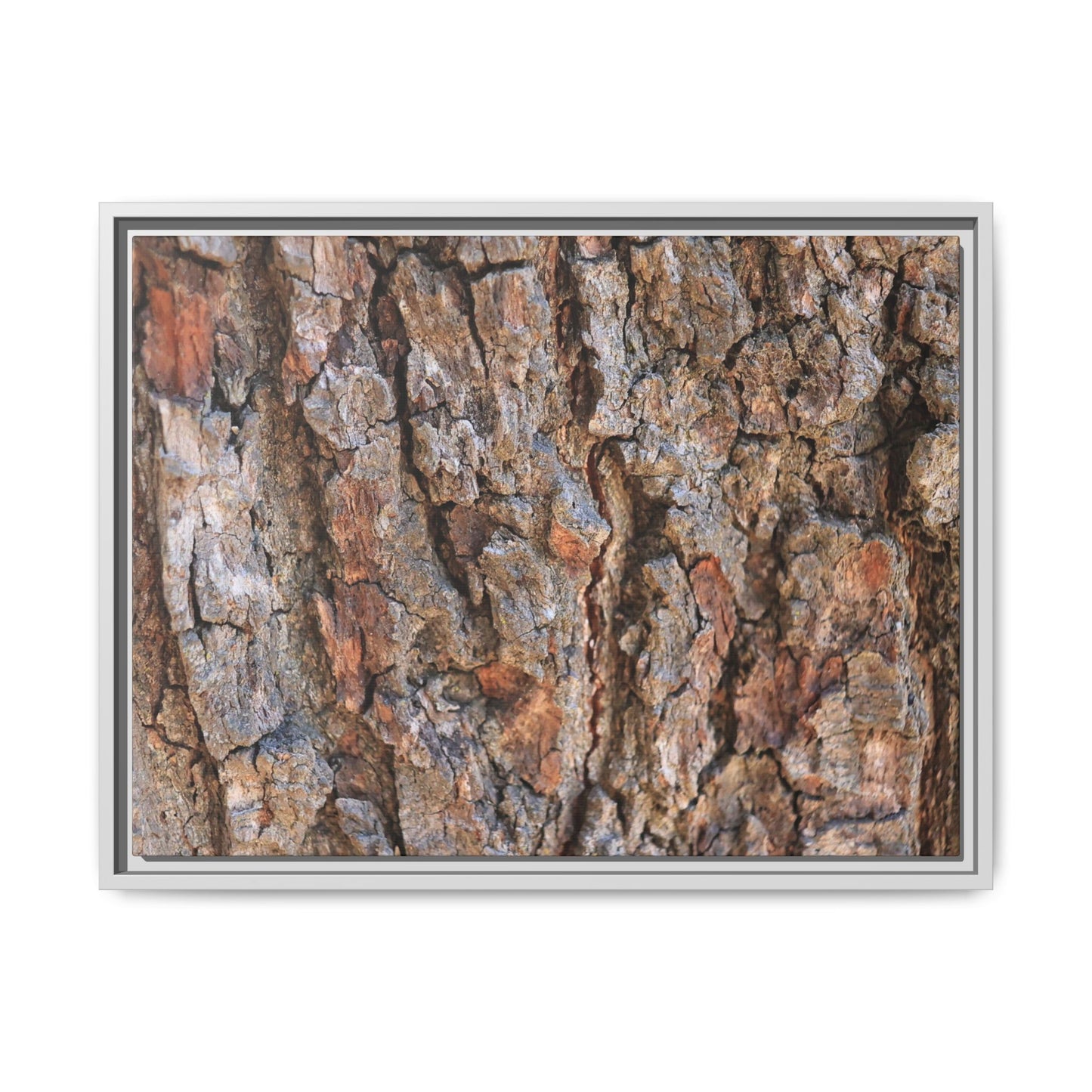 Tree's Timeworn Tale - Unique Stretched Canvas Wall Art