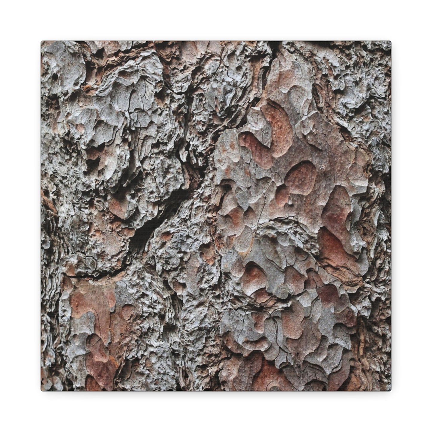 Textured Whispers of Bark - Unique Frameless Canvas Wall Art