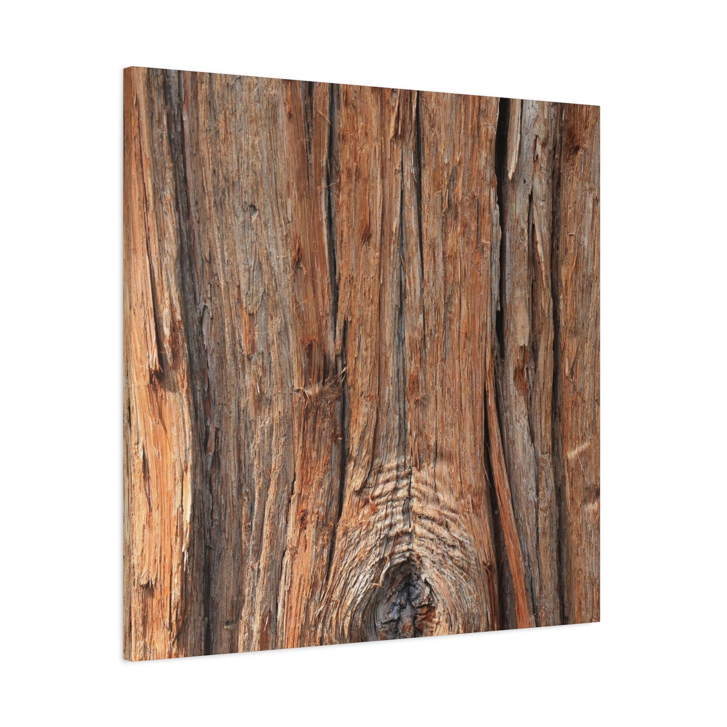 Bark's Ancient Whispers - Unique Frameless Canvas Wall Art