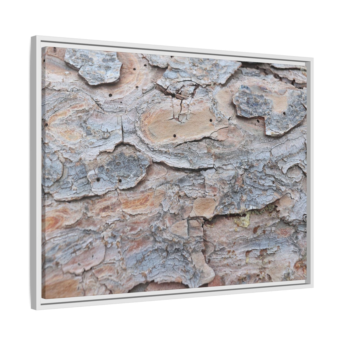 Peeling Memories - Unique Stretched Canvas Wall Art