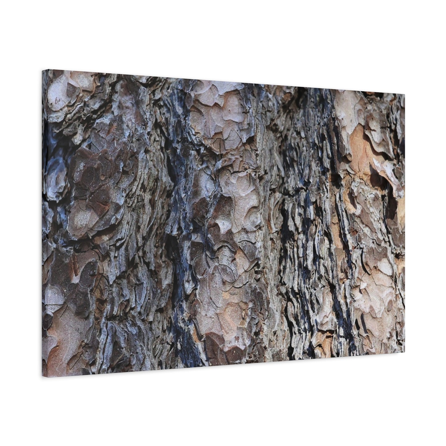 Bark's Rugged Symphony - Unique Frameless Canvas Wall Art