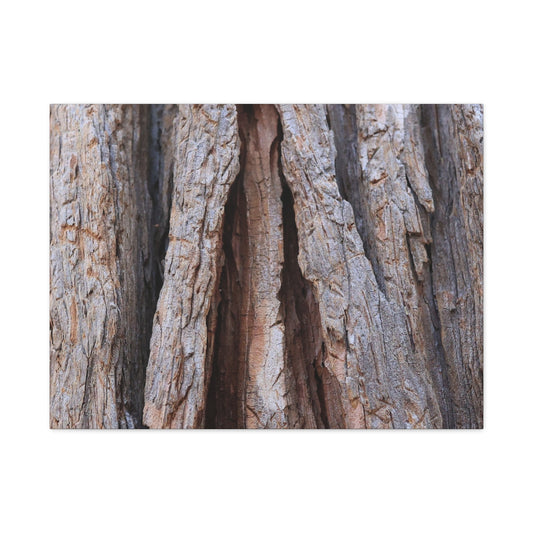 Fractured Skin of Time - Unique Frameless Canvas Wall Art - Art By Earth