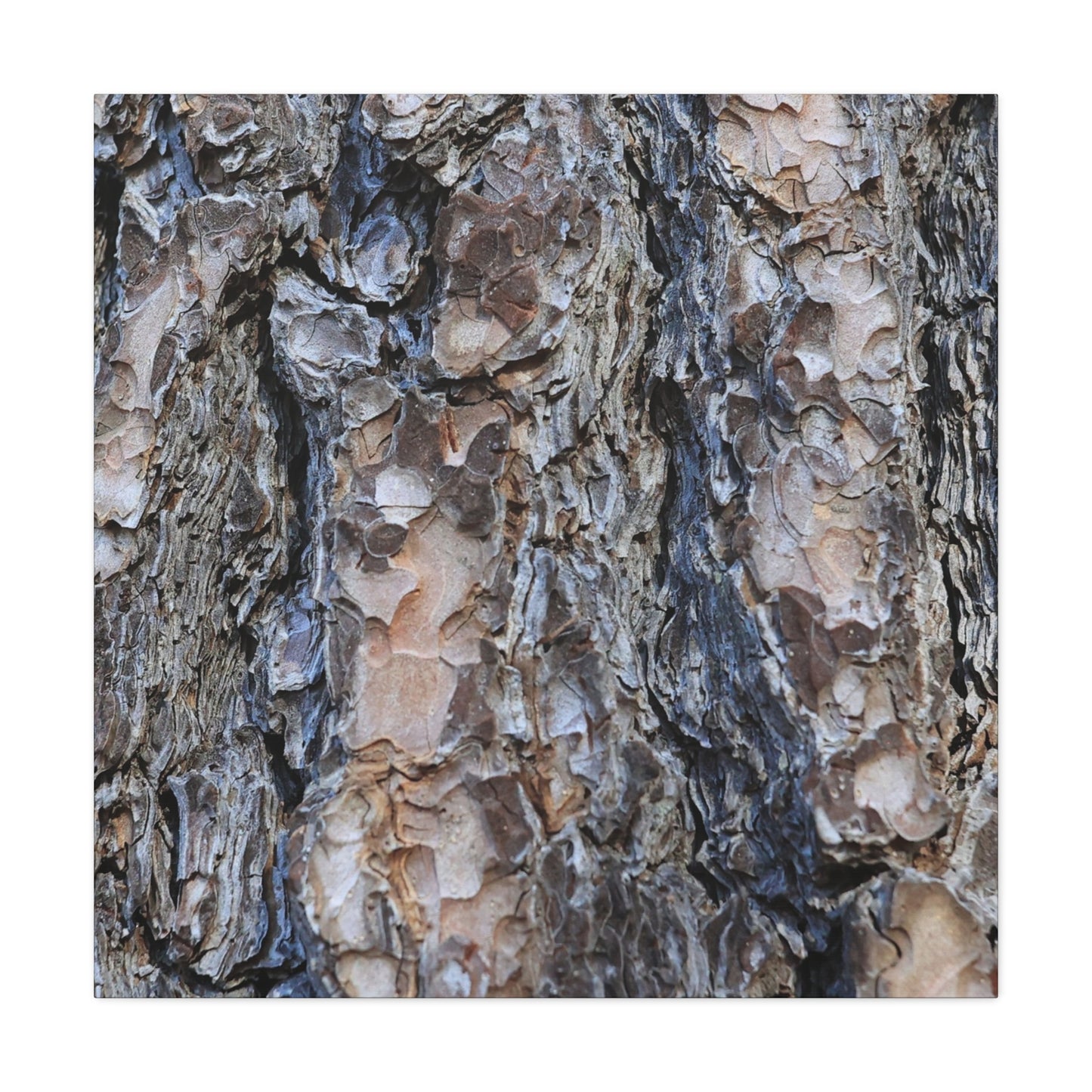 Arboreal Patterns - Unique Frameless Canvas Wall Art