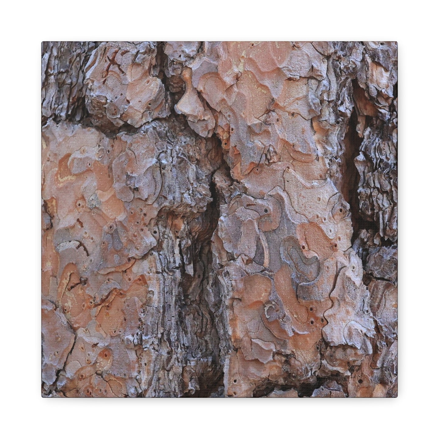 Arboreal Armor - Unique Frameless Canvas Wall Art