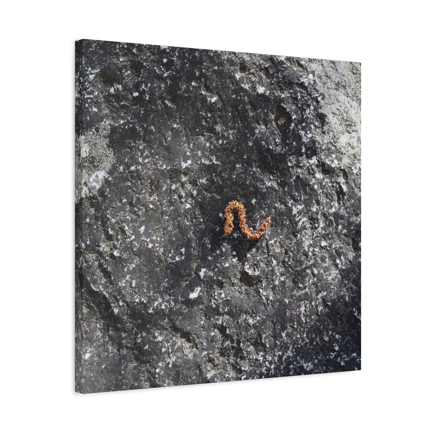 Earthen Serpent - Unique Frameless Canvas Wall Art