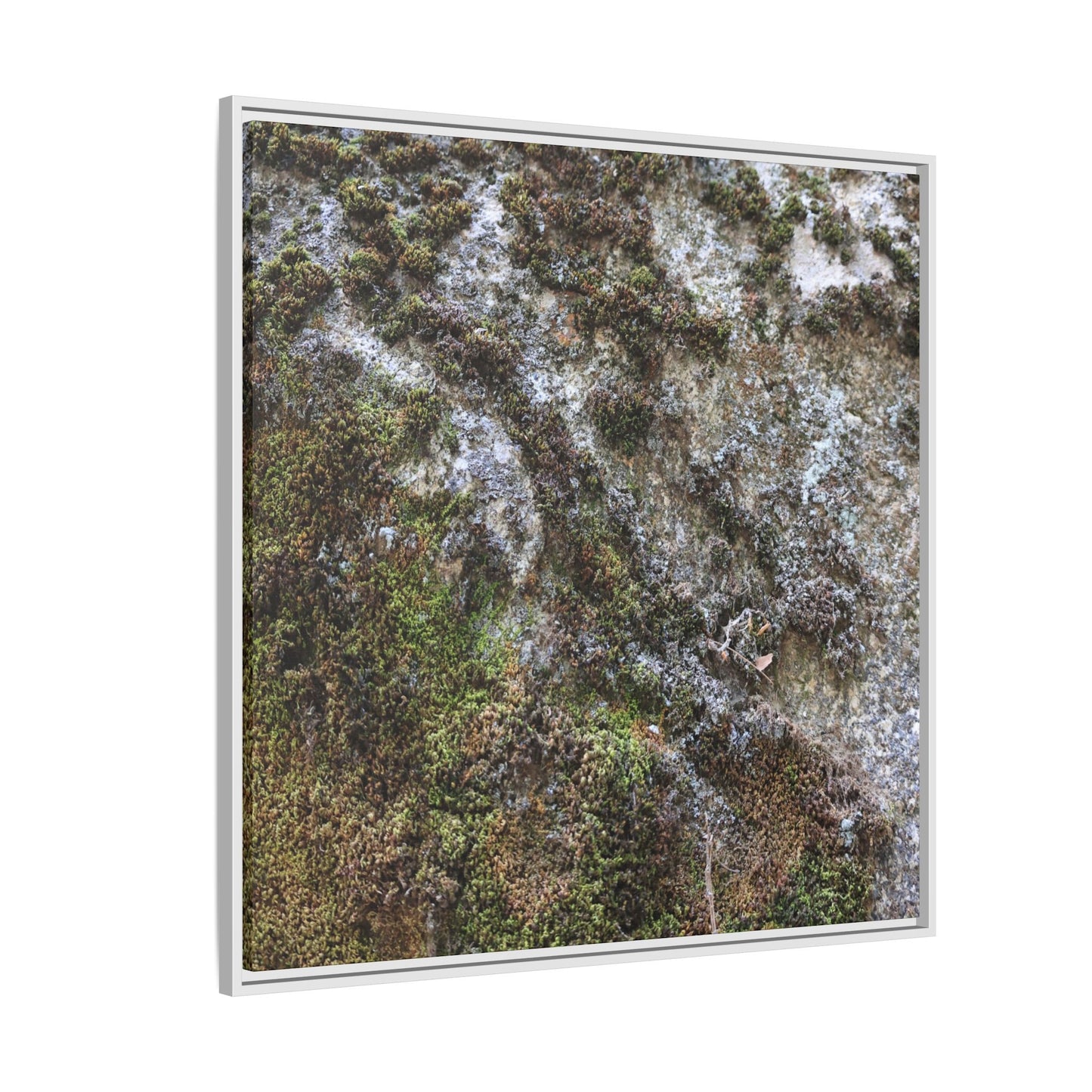 Mossy Whispers - Unique Stretched Canvas Wall Art