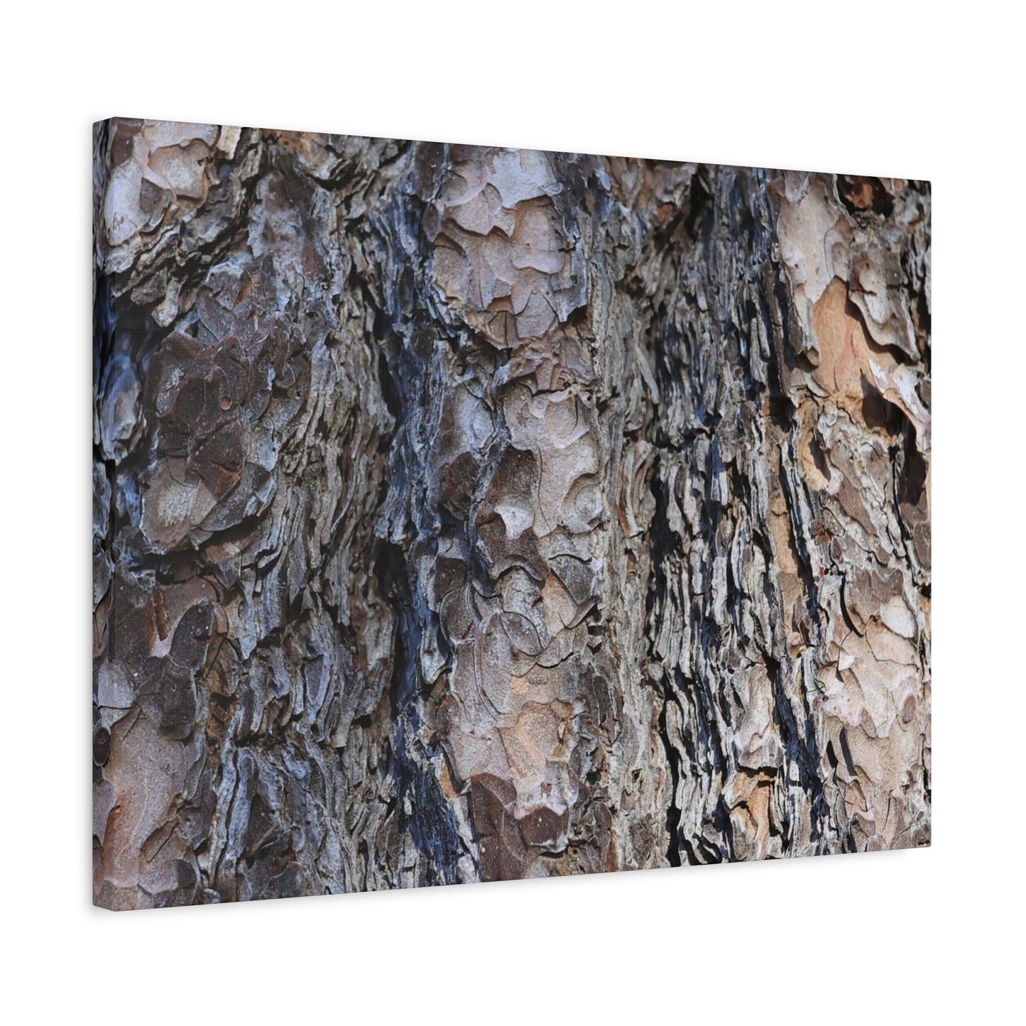 Bark's Rugged Symphony - Unique Frameless Canvas Wall Art