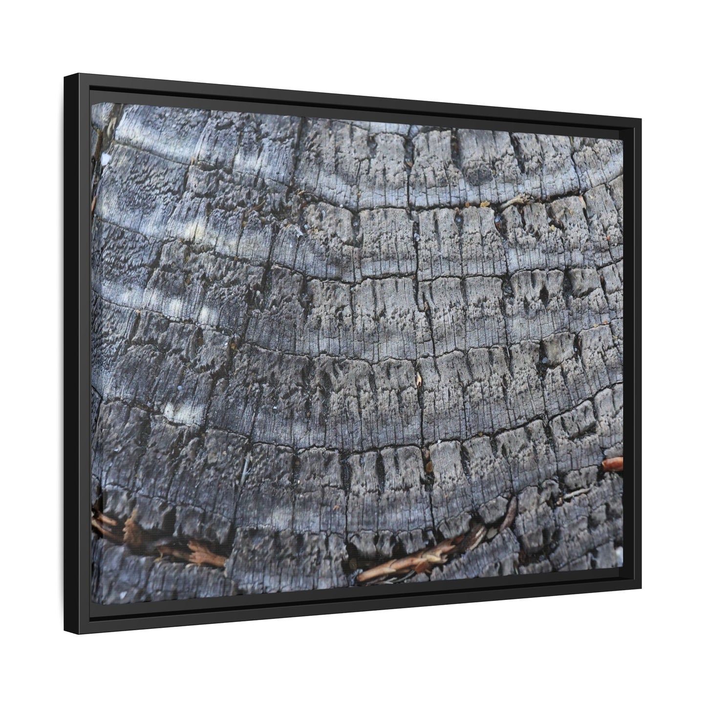 Charred Memories - Unique Stretched Canvas Wall Art