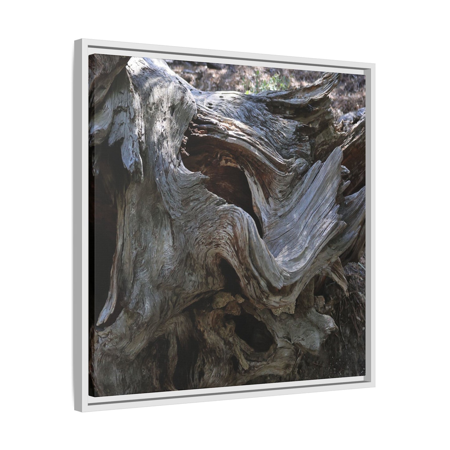 Twisted Memories - Unique Stretched Canvas Wall Art