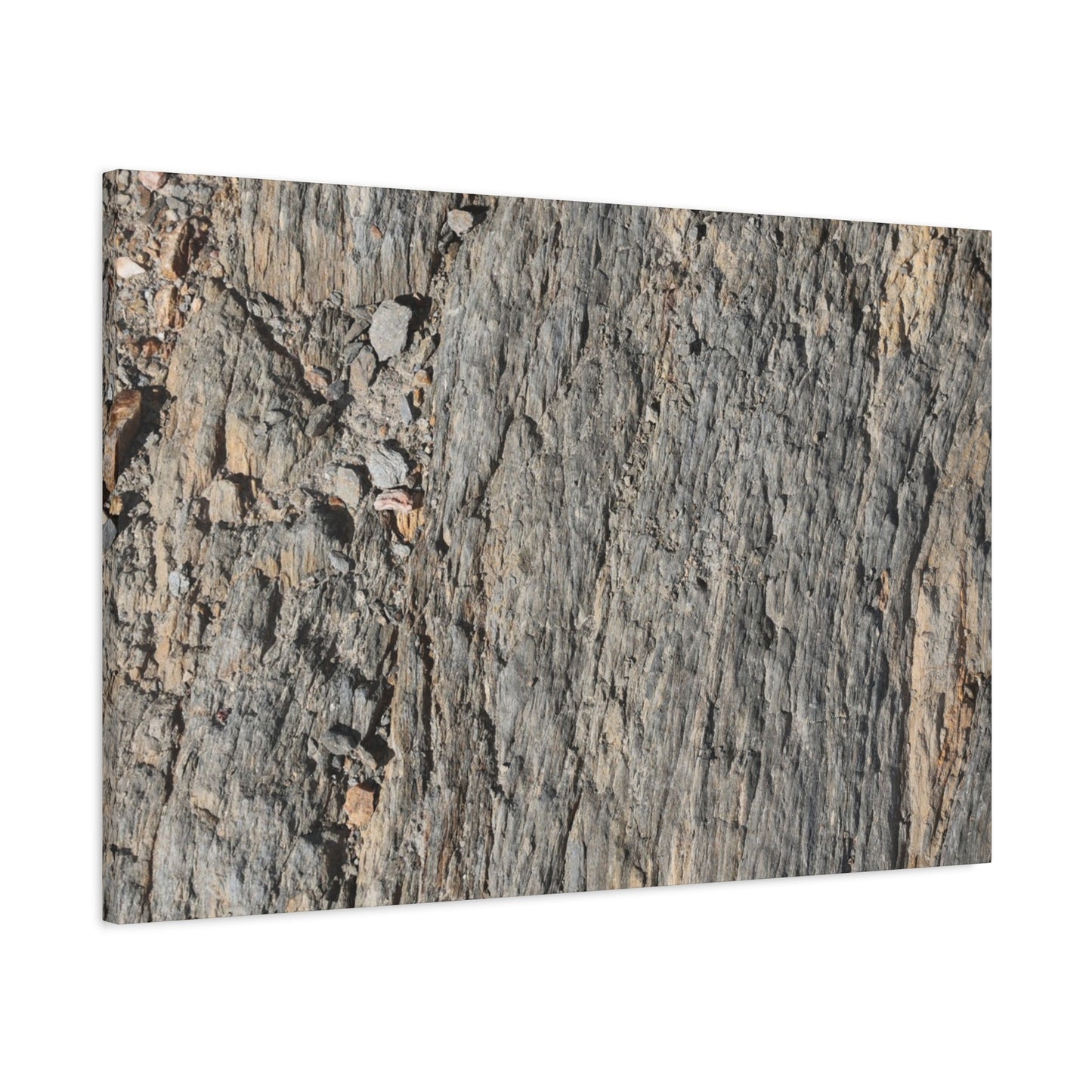 Bark Echoes - Unique Frameless Canvas Wall Art