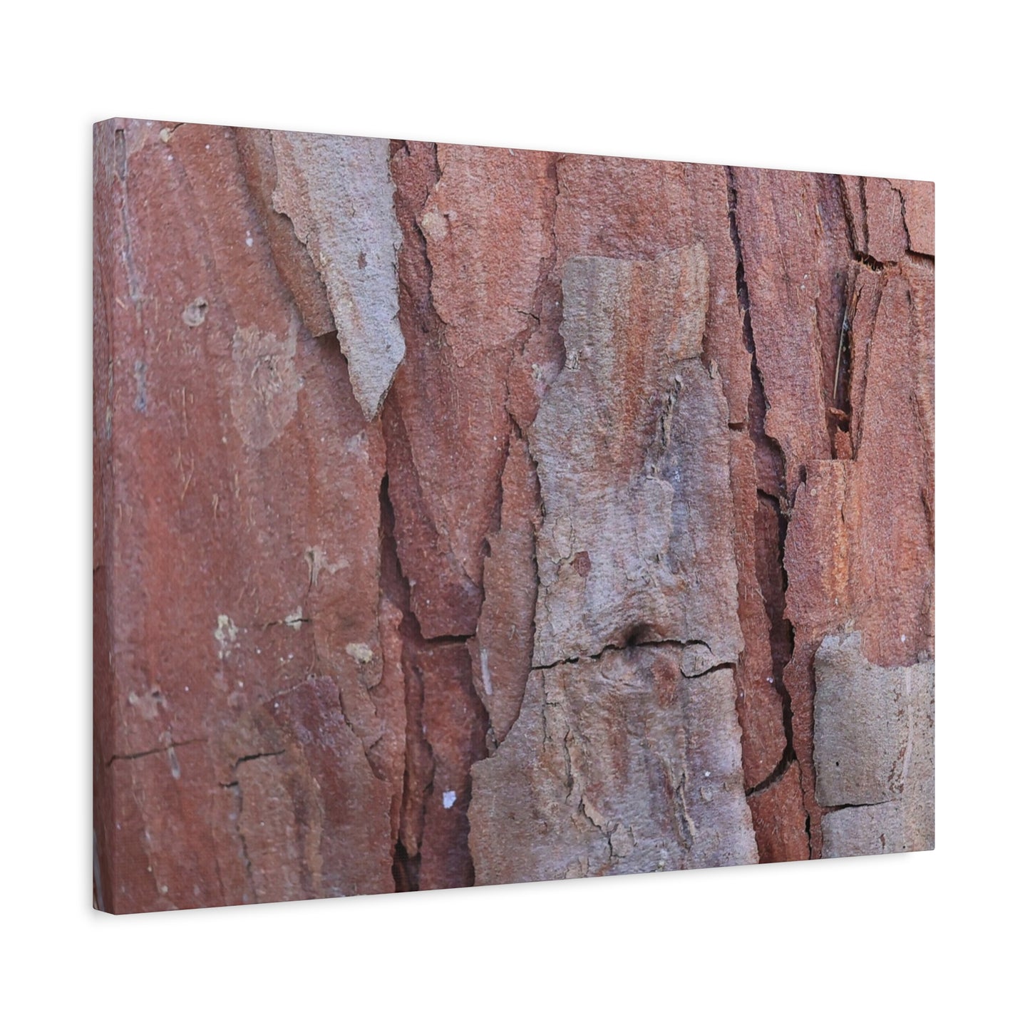 Fractal Rust - Unique Frameless Canvas Wall Art