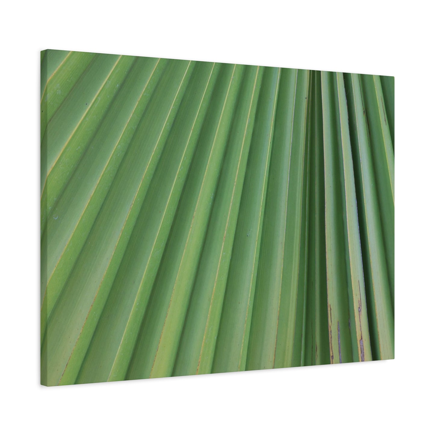 Palm Pulse - Unique Frameless Canvas Wall Art
