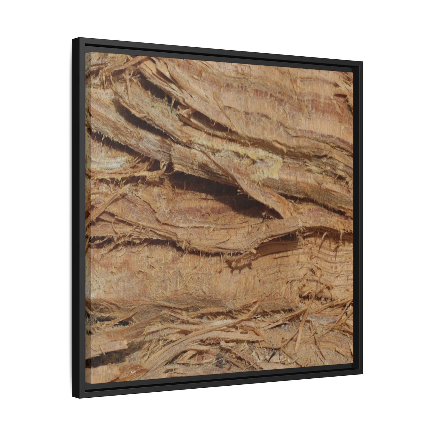 Splintered Bark - Unique Stretched Canvas Wall Art