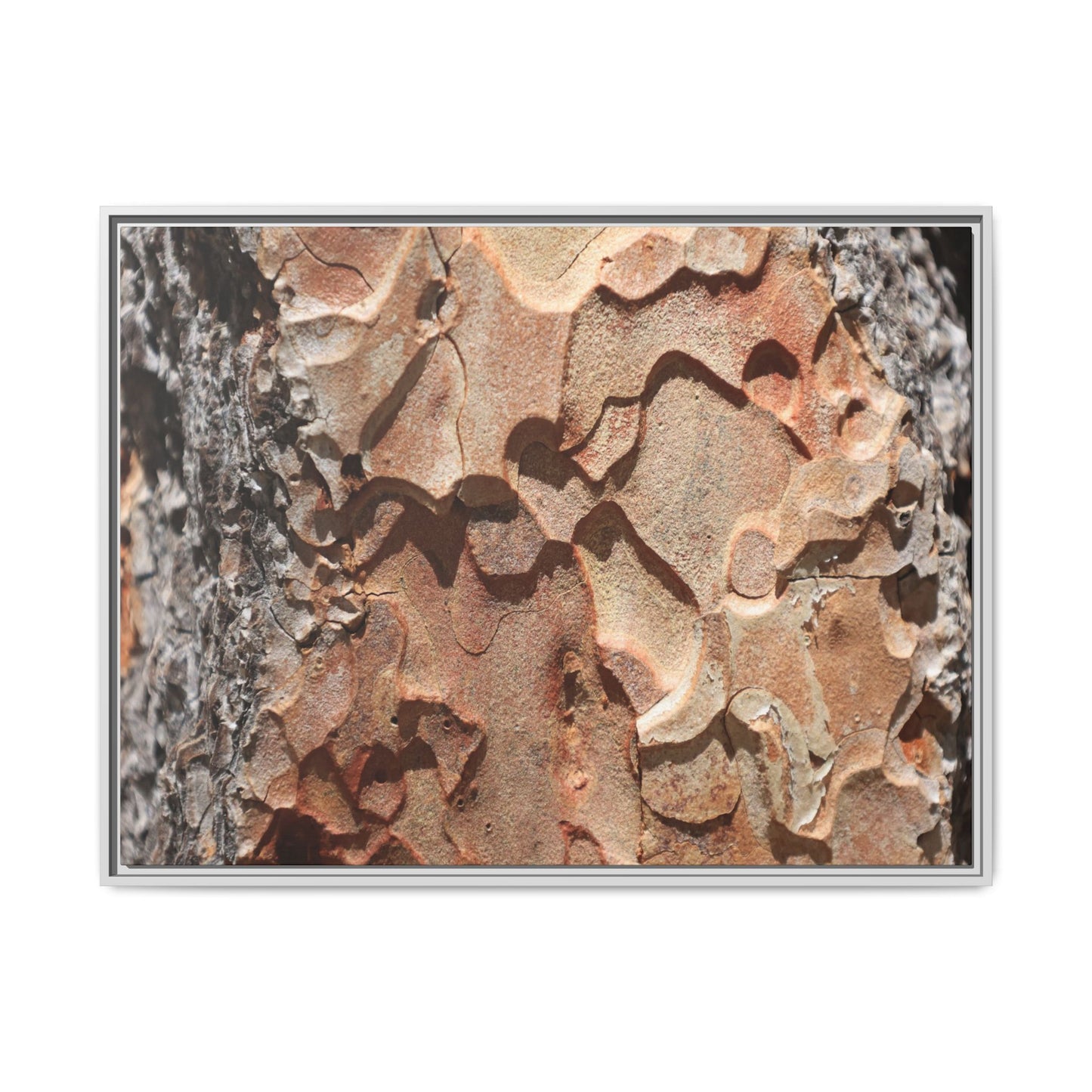 Rust and Stone - Unique Stretched Canvas Wall Art