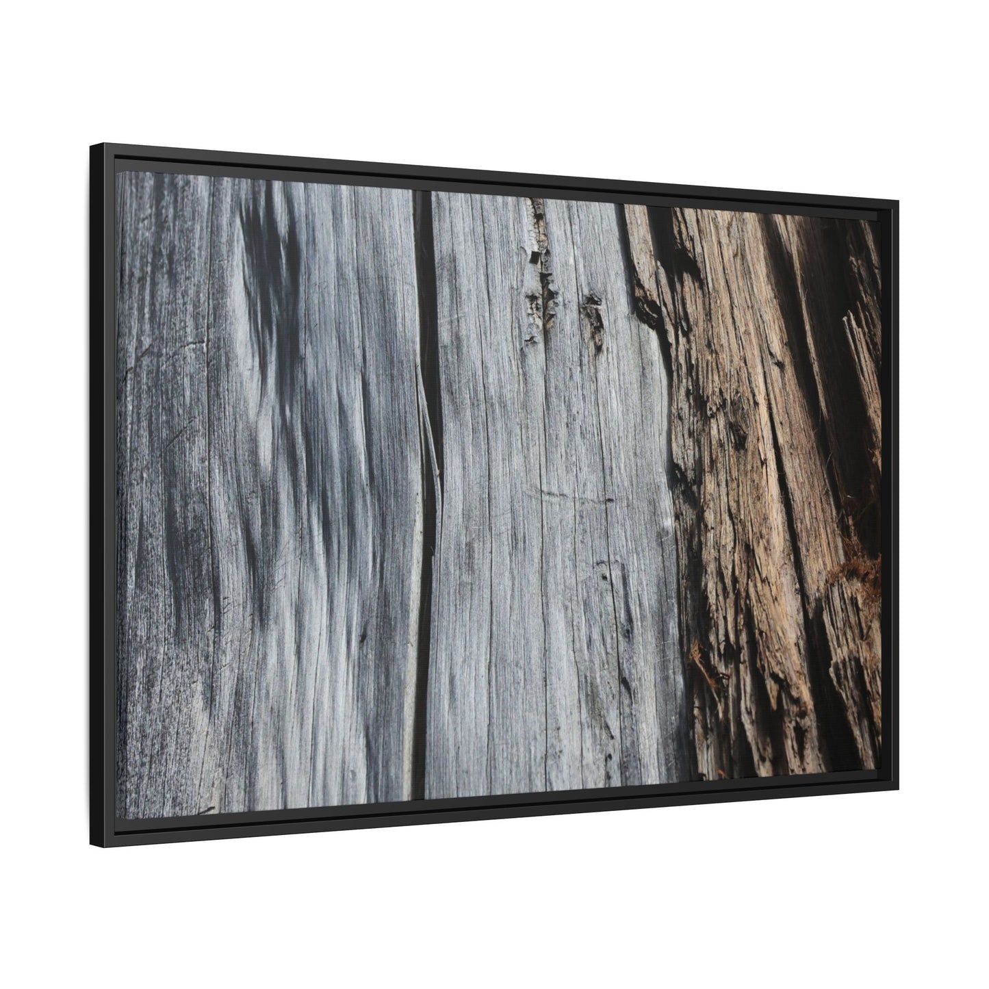 Wood's Lament - Unique Stretched Canvas Wall Art