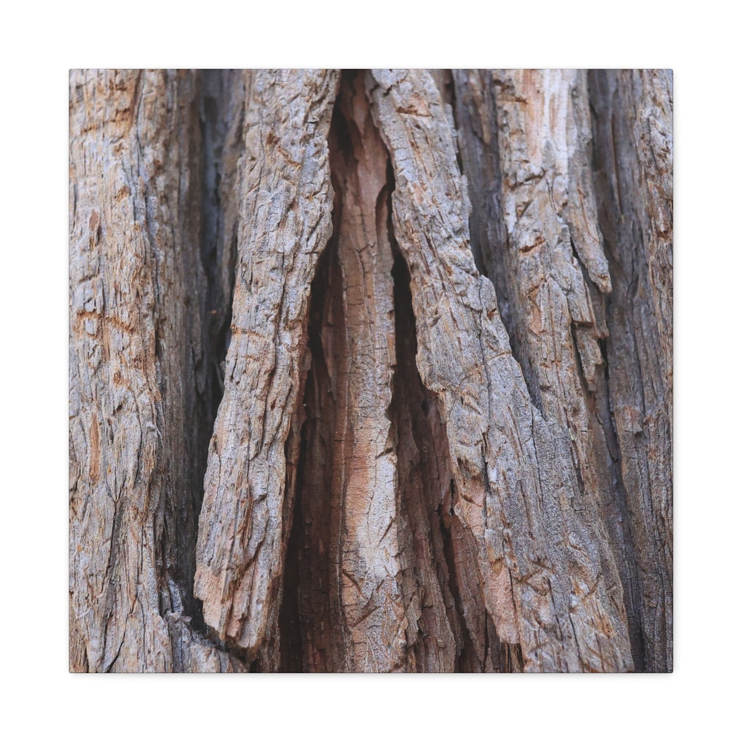 Fractured Skin of Time - Unique Frameless Canvas Wall Art