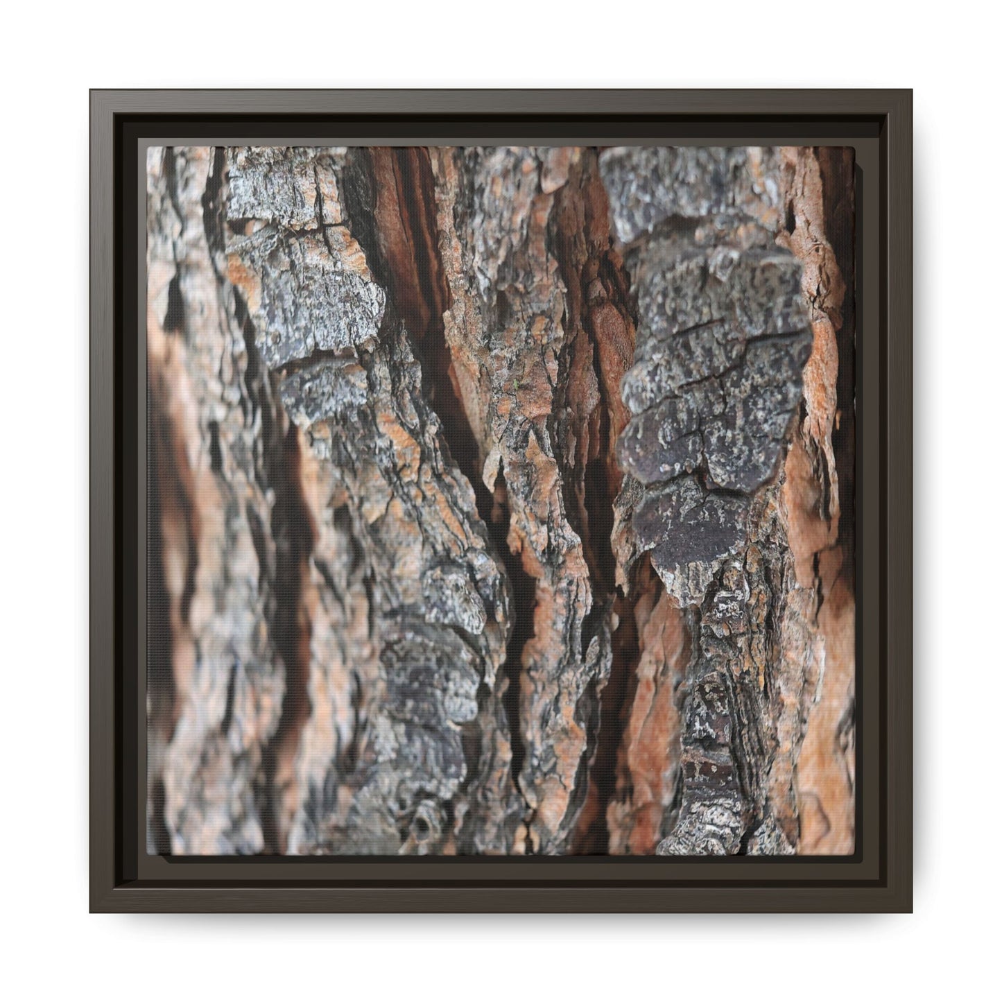 Fractured Nature - Unique Stretched Canvas Wall Art
