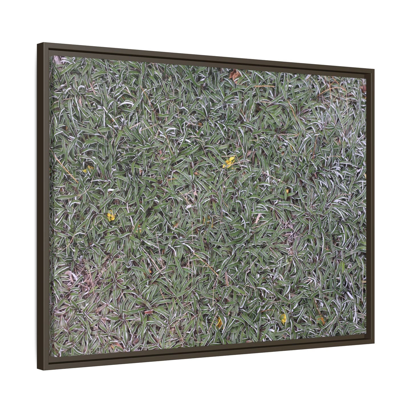 Grassy Texture - Unique Stretched Canvas Wall Art