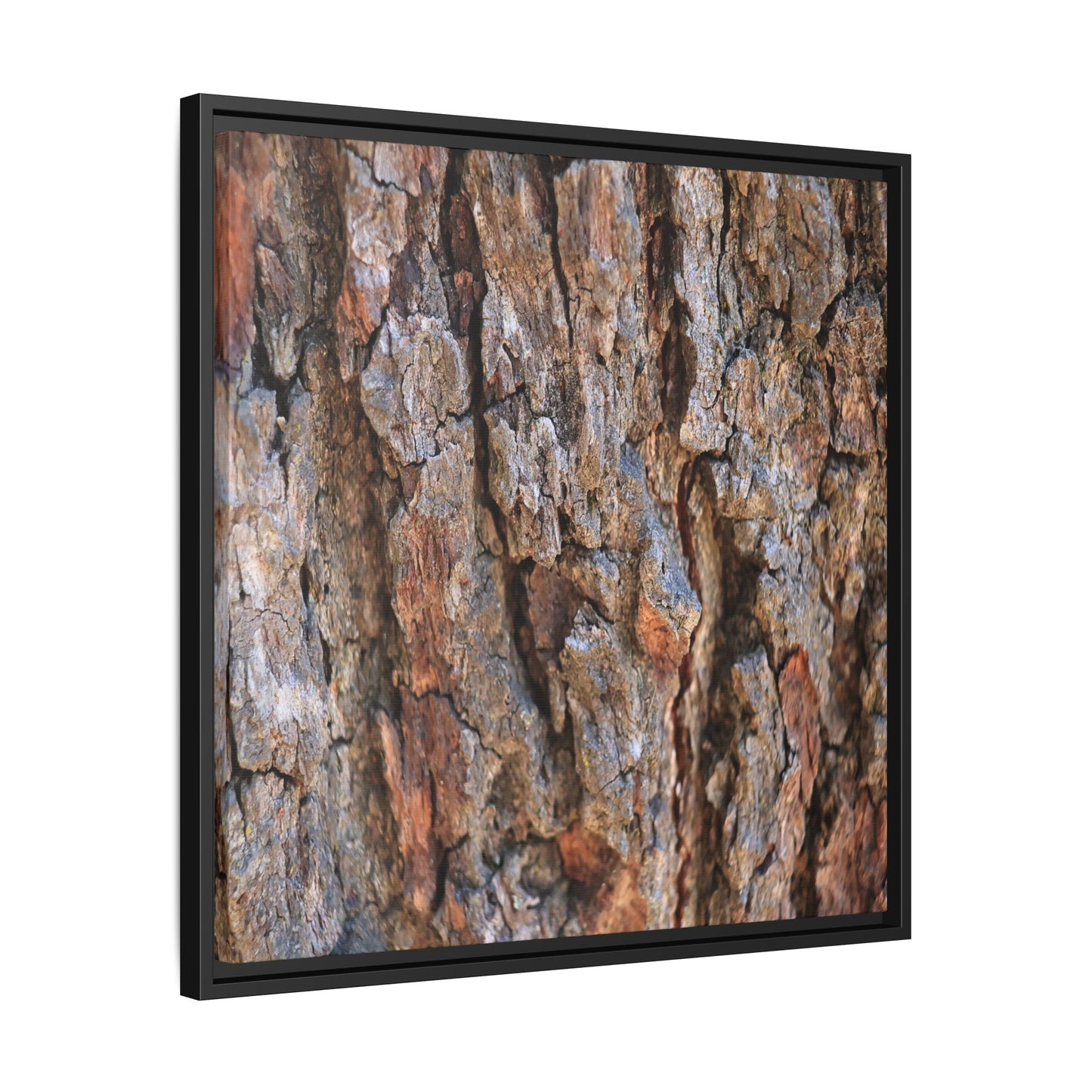 Craggy Textures - Unique Stretched Canvas Wall Art
