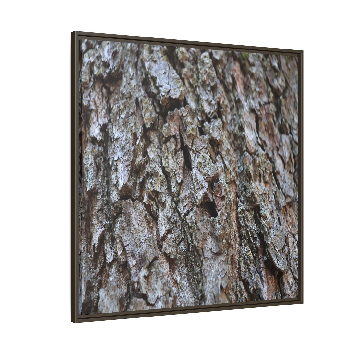 Woodland Canvas - Unique Stretched Canvas Wall Art