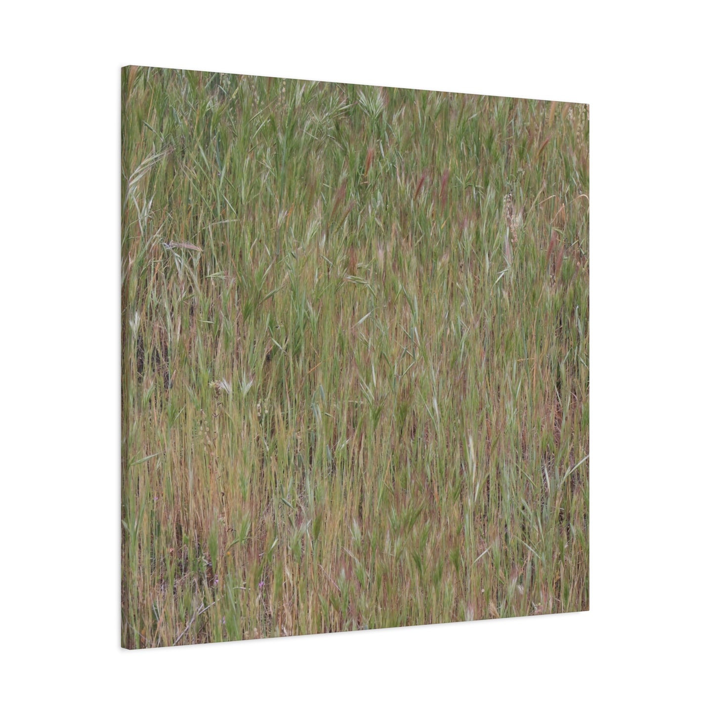 Whispers of the Prairie - Unique Frameless Canvas Wall Art
