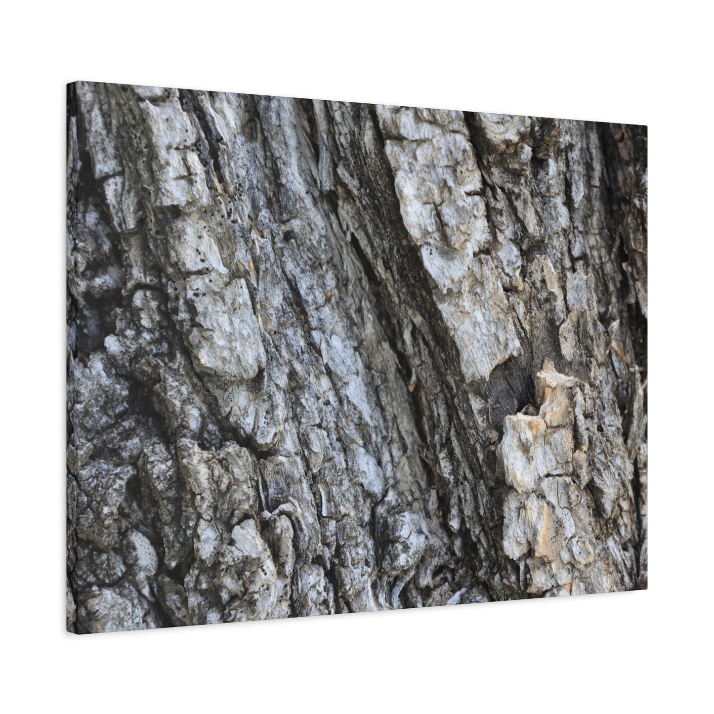 Nature's Rough Embrace - Unique Frameless Canvas Wall Art