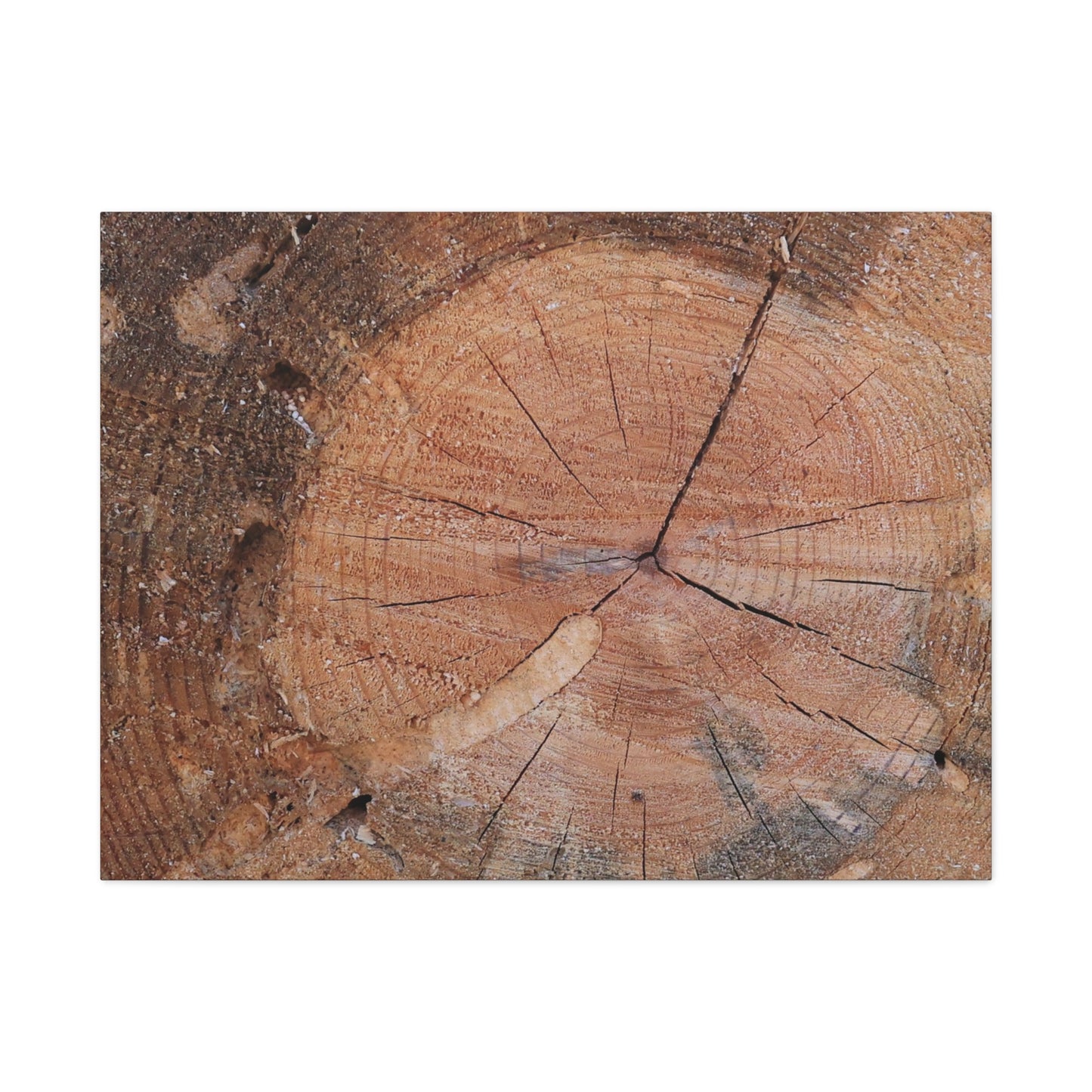 Timber Tale - Unique Frameless Canvas Wall Art