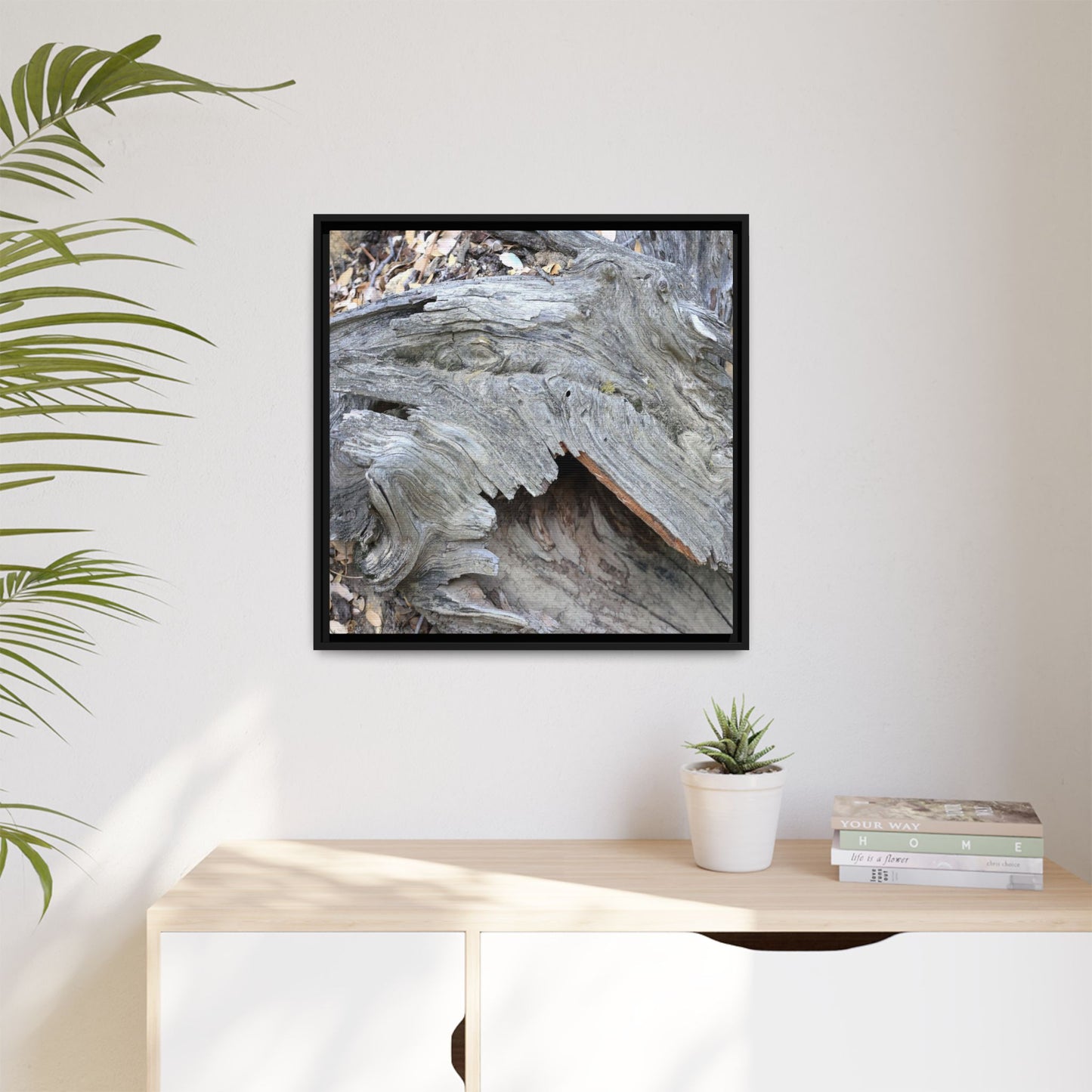 Driftwood Dreams - Unique Stretched Canvas Wall Art