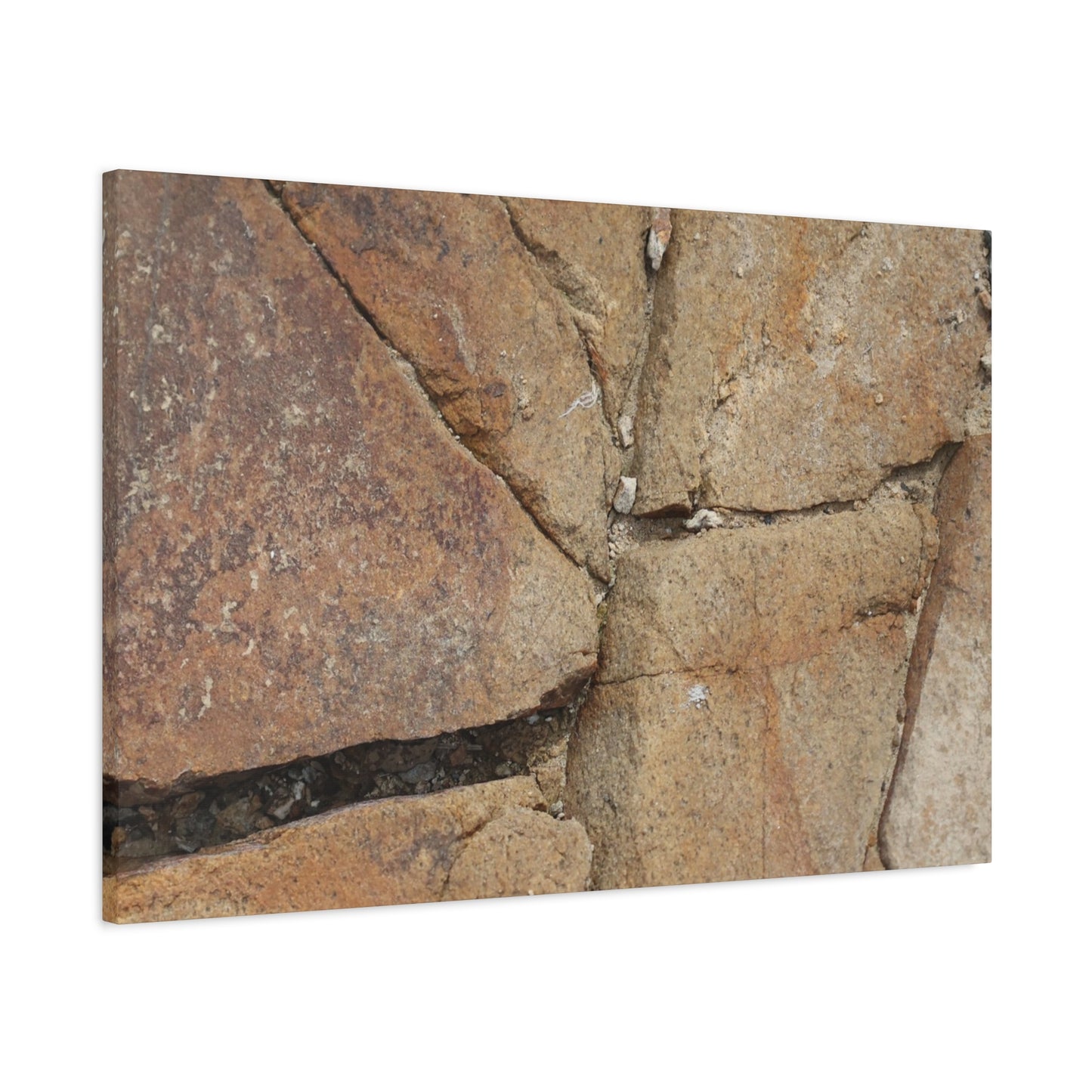 Cracked Earth's Canvas - Unique Frameless Canvas Wall Art