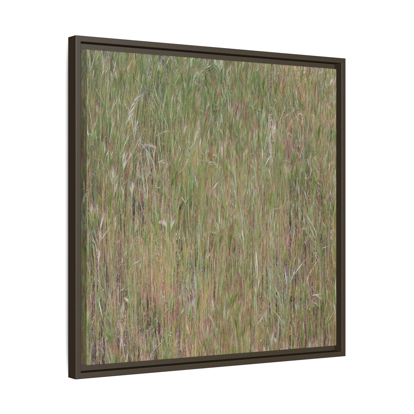 Field of Dreams - Unique Stretched Canvas Wall Art