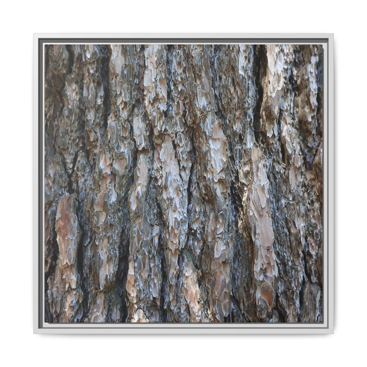 Bark Whispers - Unique Stretched Canvas Wall Art