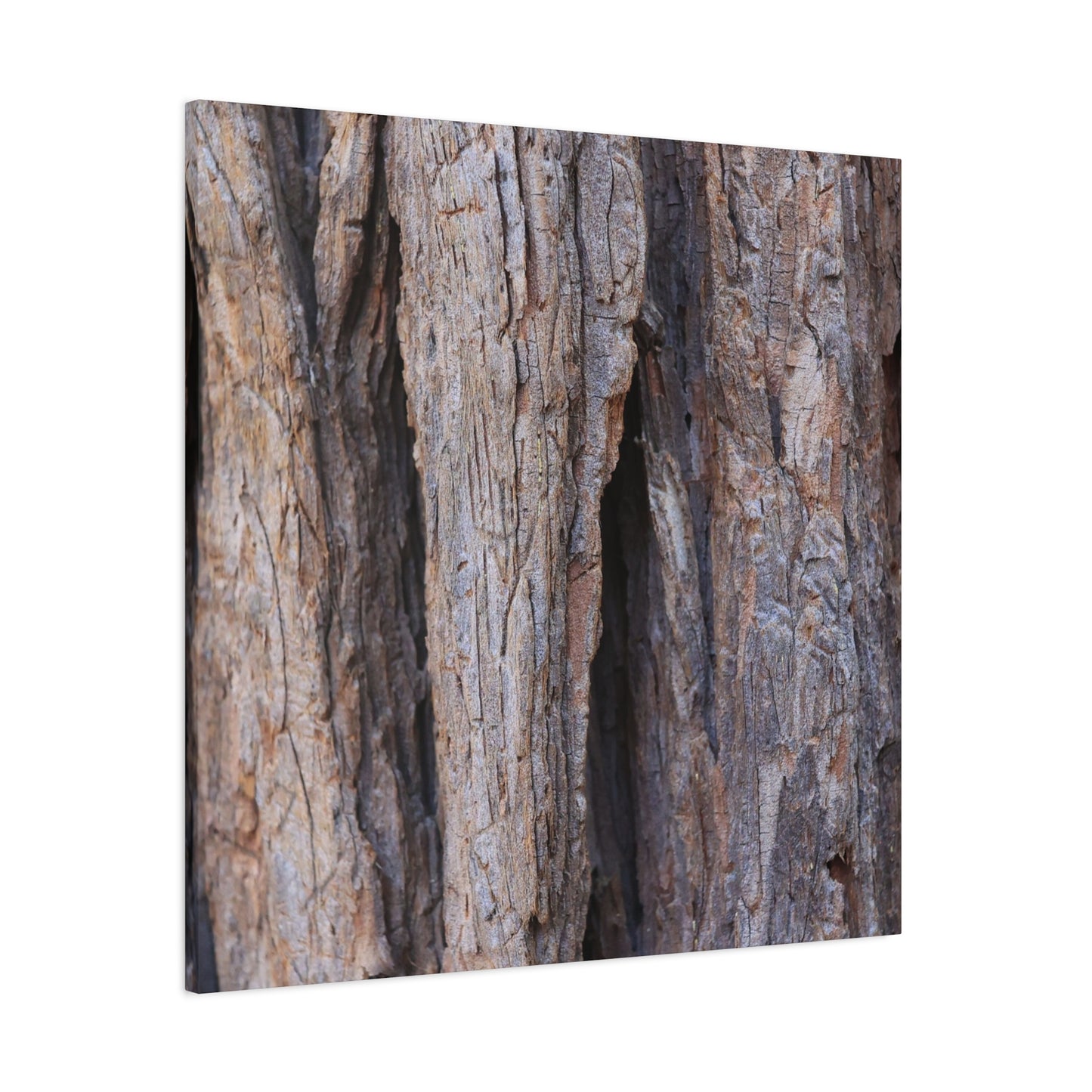 Fractal Skin - Unique Frameless Canvas Wall Art
