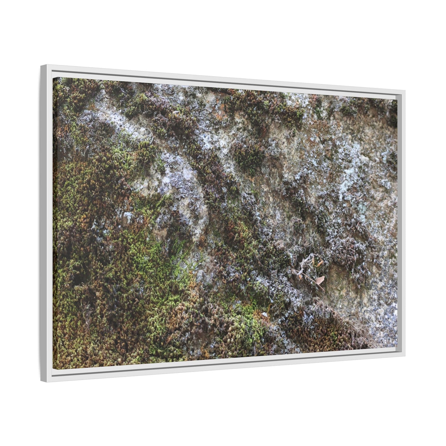 Mossy Whispers - Unique Stretched Canvas Wall Art