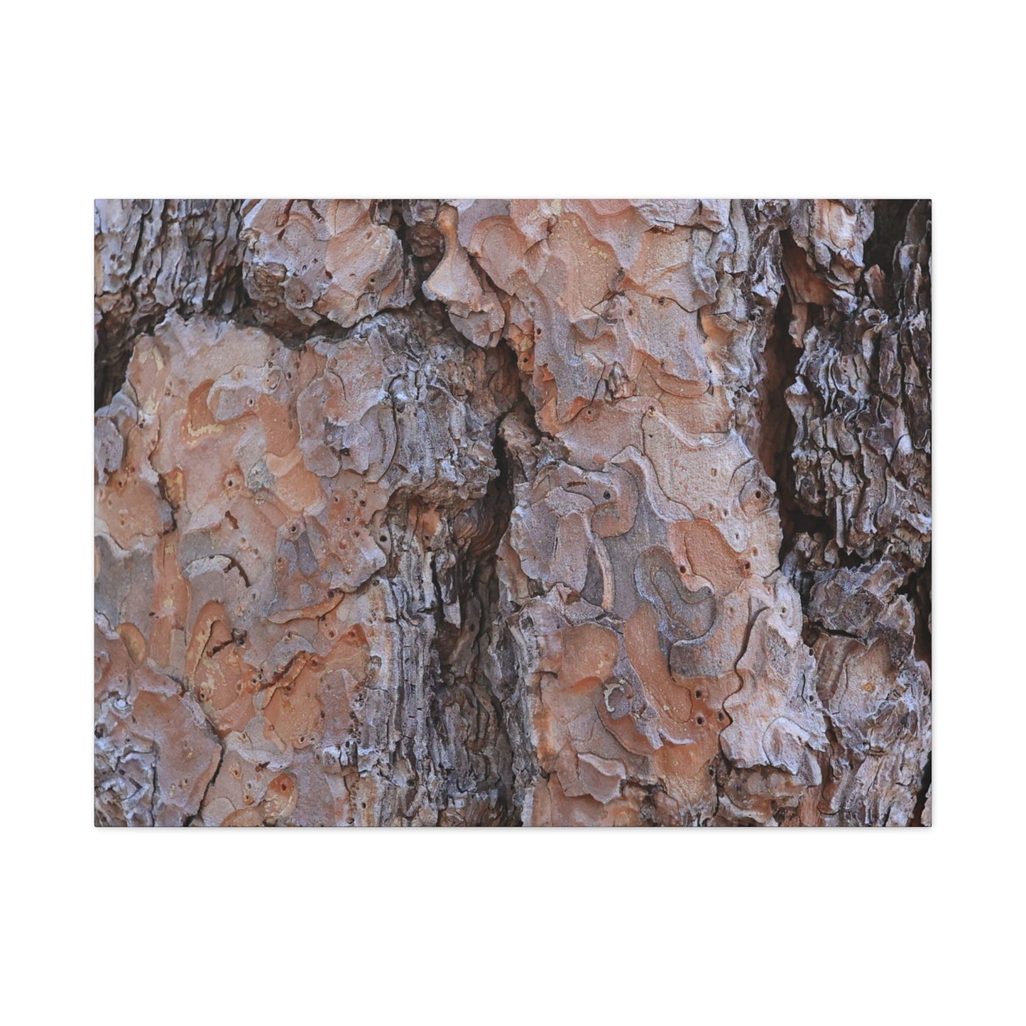 Arboreal Armor - Unique Frameless Canvas Wall Art