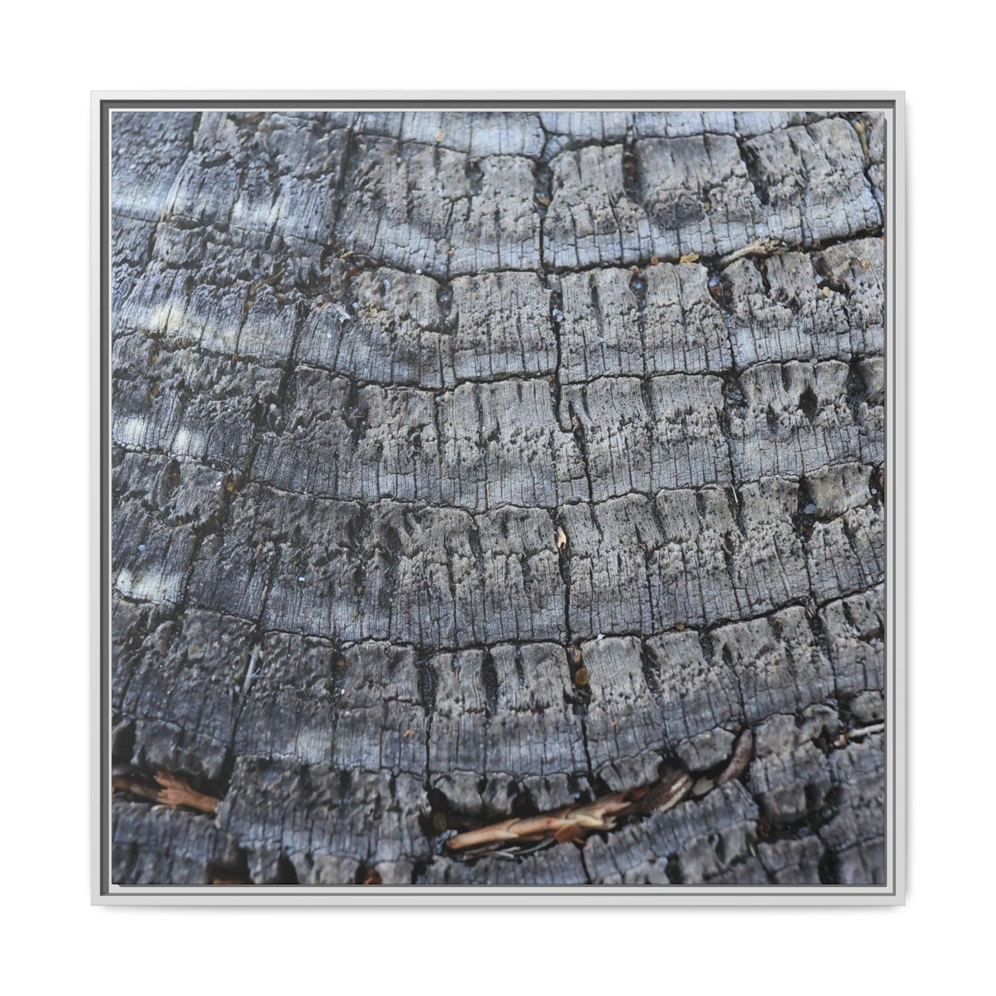 Charred Memories - Unique Stretched Canvas Wall Art