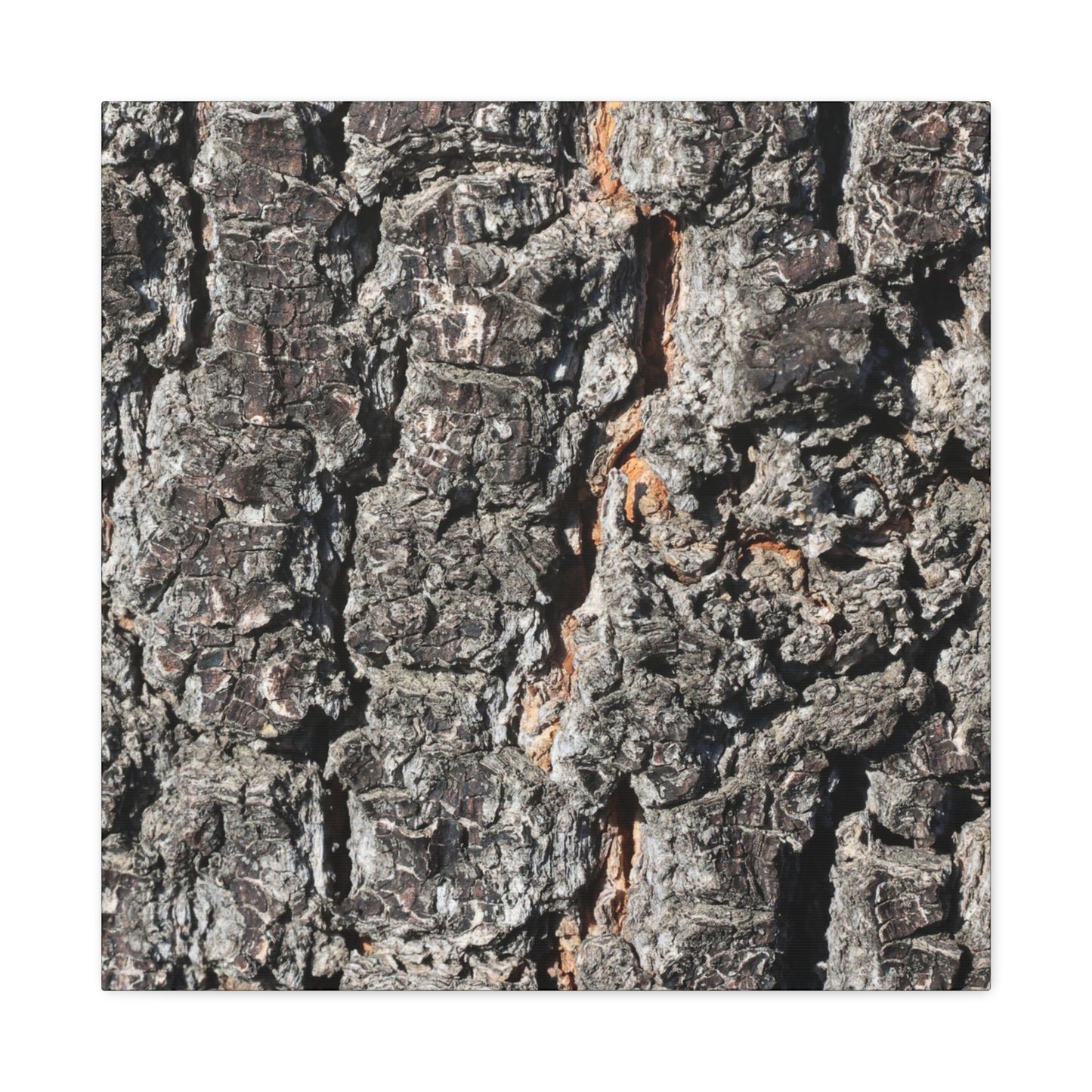 Arboreal Skin - Unique Frameless Canvas Wall Art