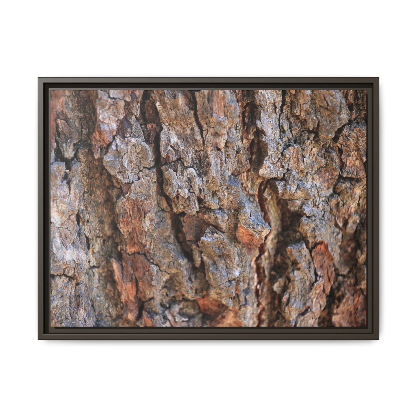 Craggy Textures - Unique Stretched Canvas Wall Art