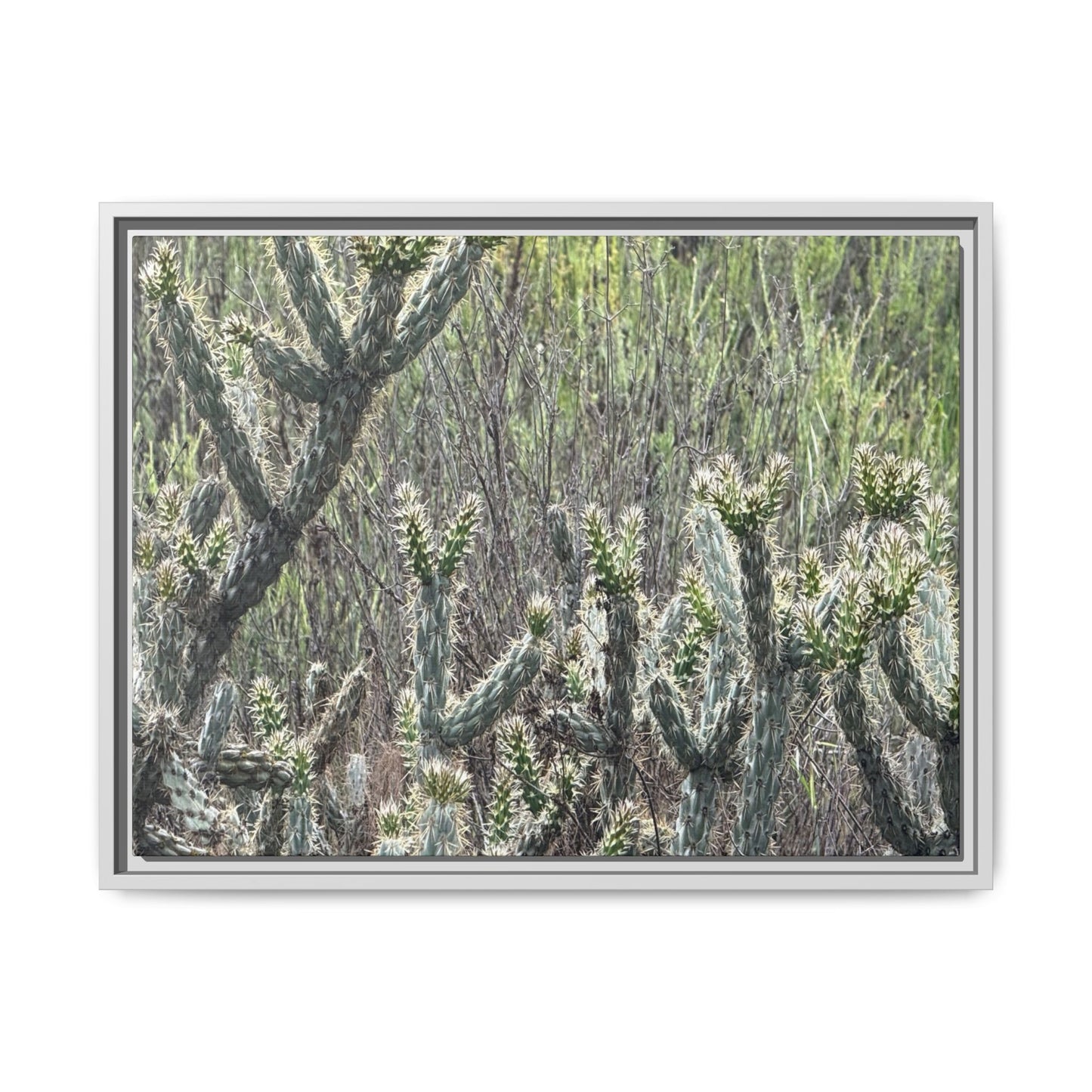Prickly Paradise - Unique Stretched Canvas Wall Art