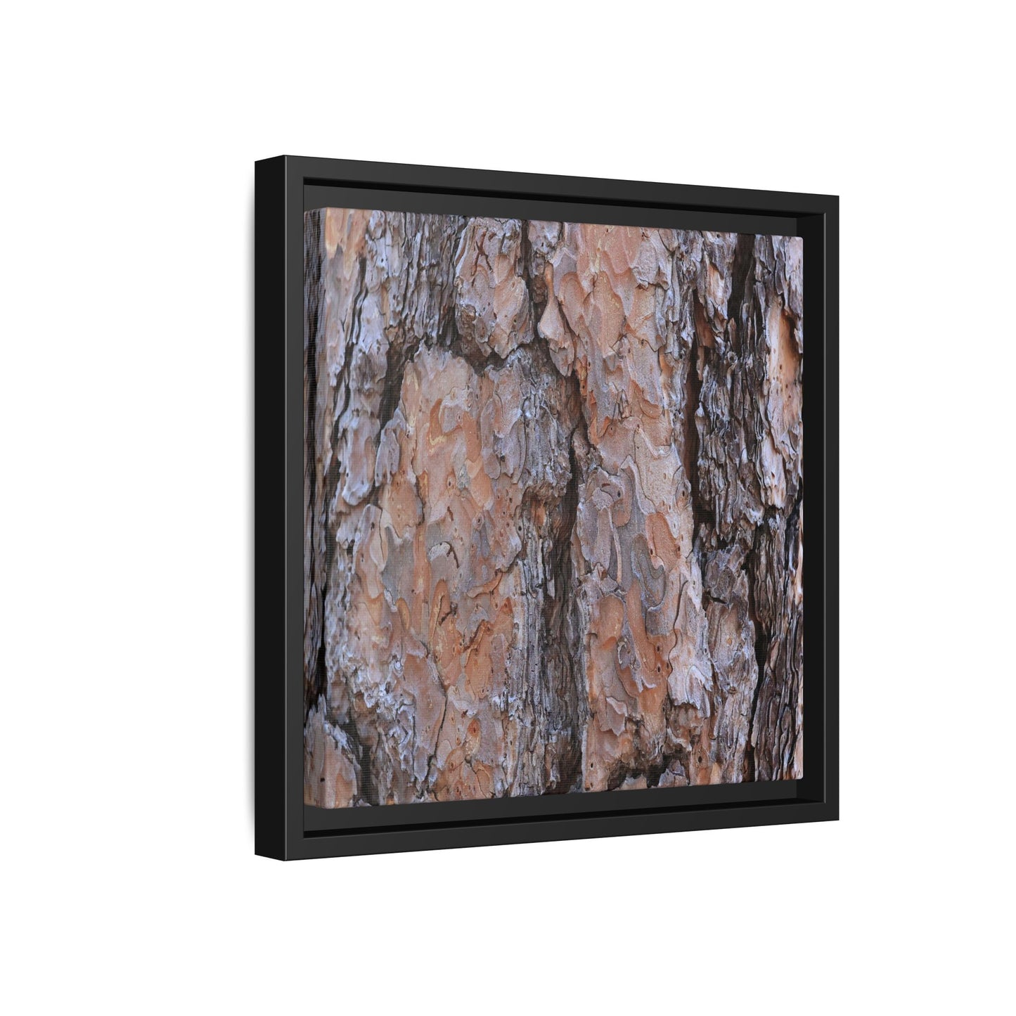 Tree Skin Symphony - Unique Stretched Canvas Wall Art