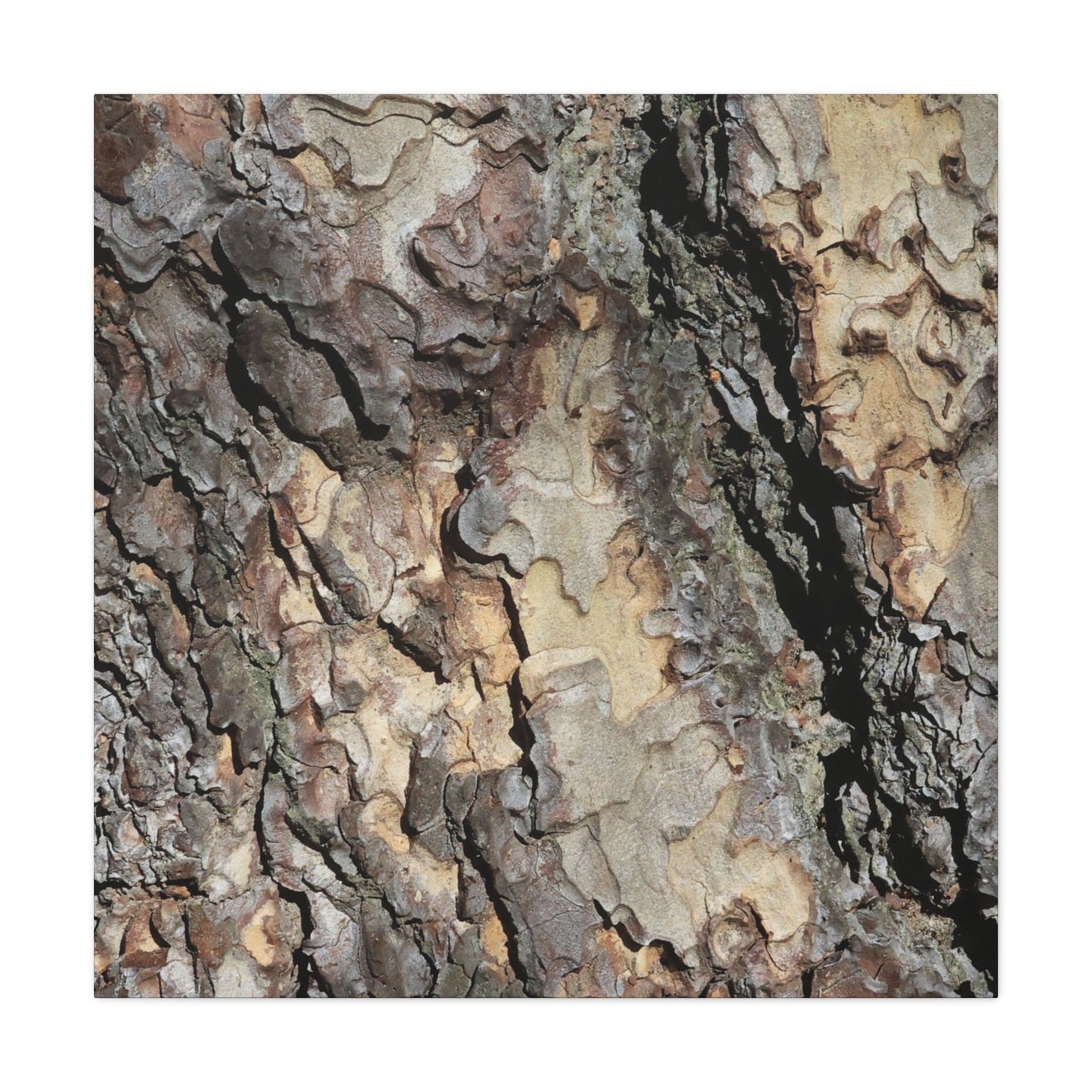 Tree Bark Symphony - Unique Frameless Canvas Wall Art