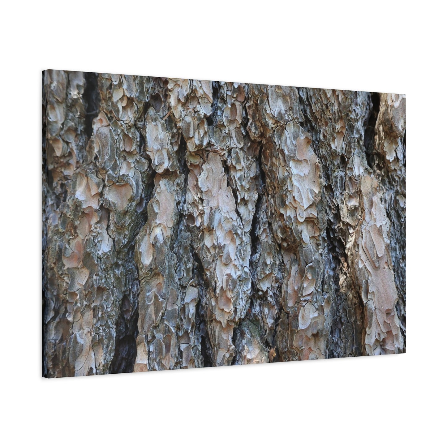 Elemental Tapestry - Unique Frameless Canvas Wall Art