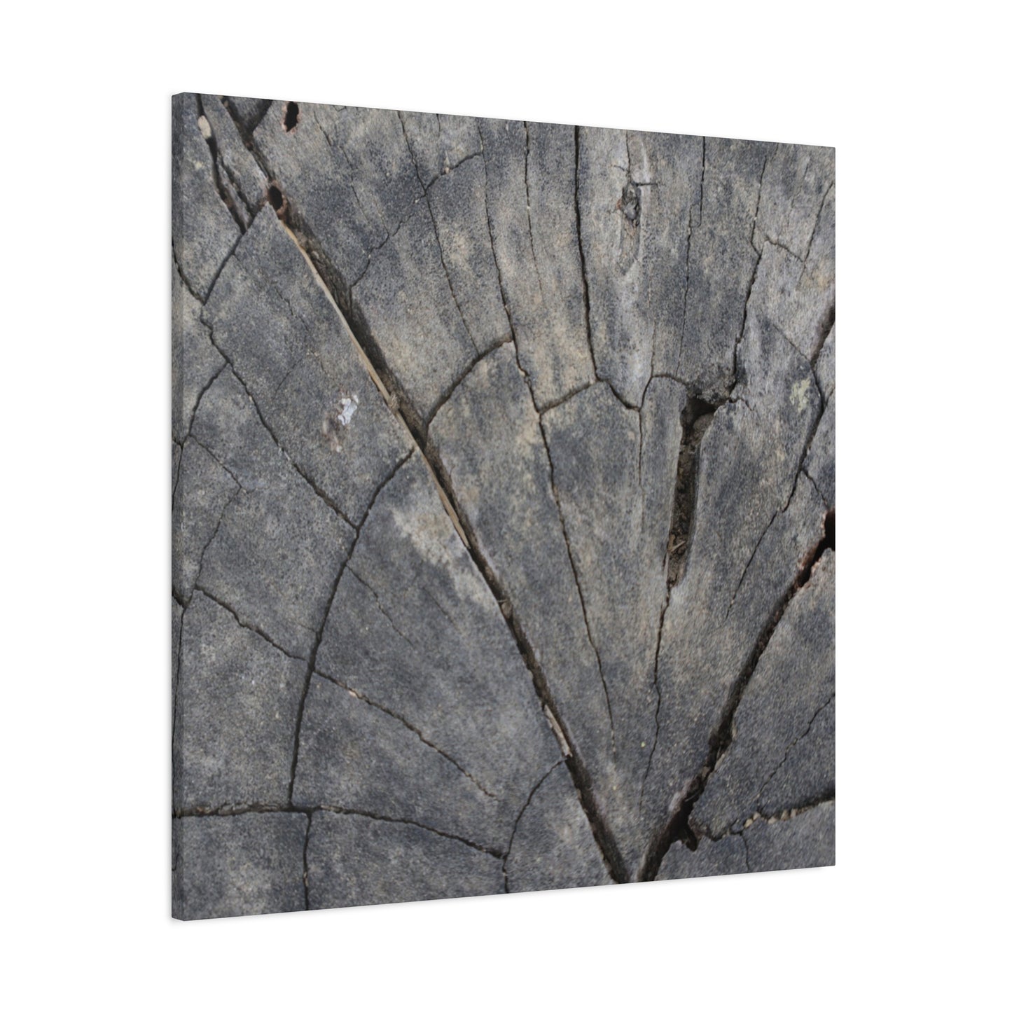 Geological Mosaic - Unique Frameless Canvas Wall Art