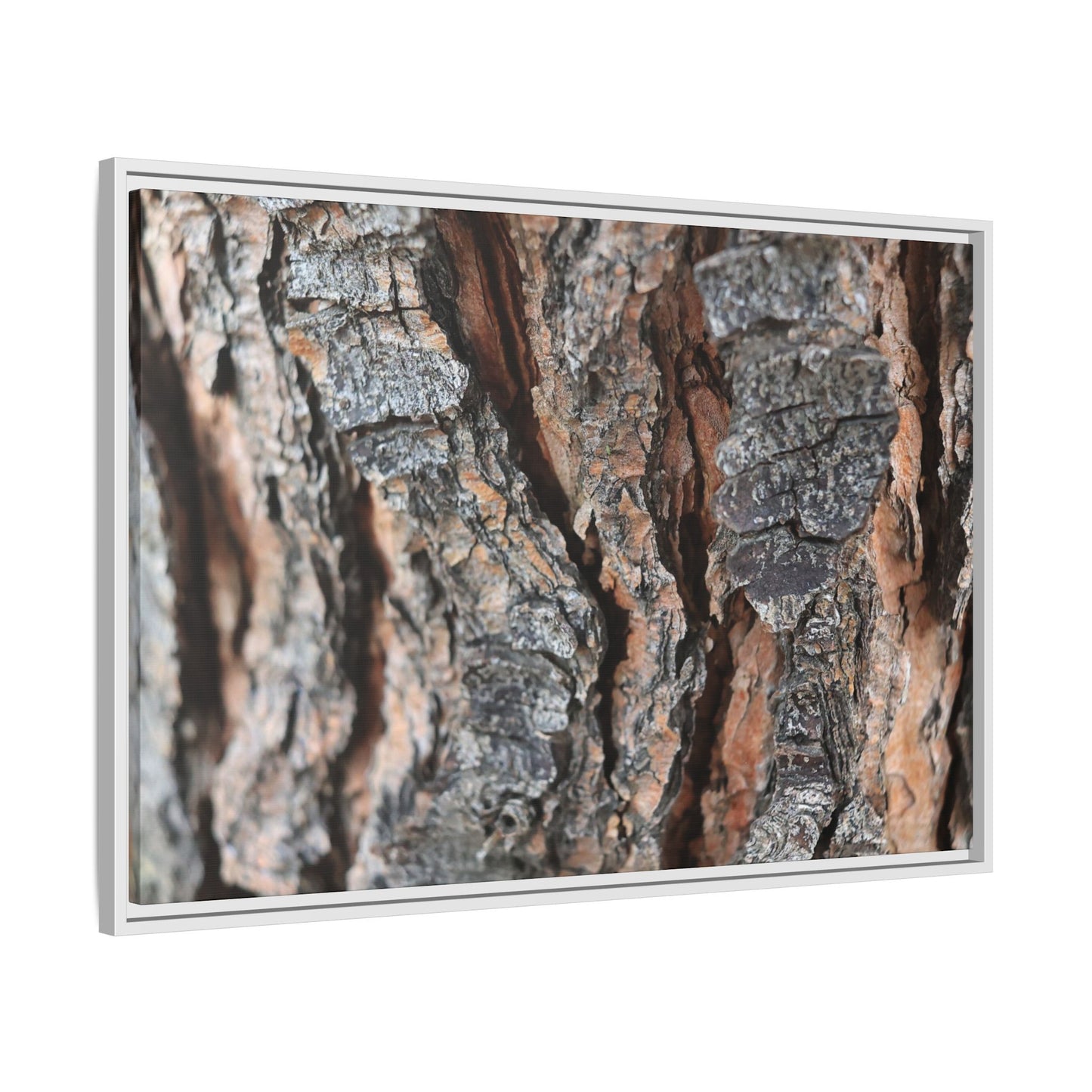 Fractured Nature - Unique Stretched Canvas Wall Art