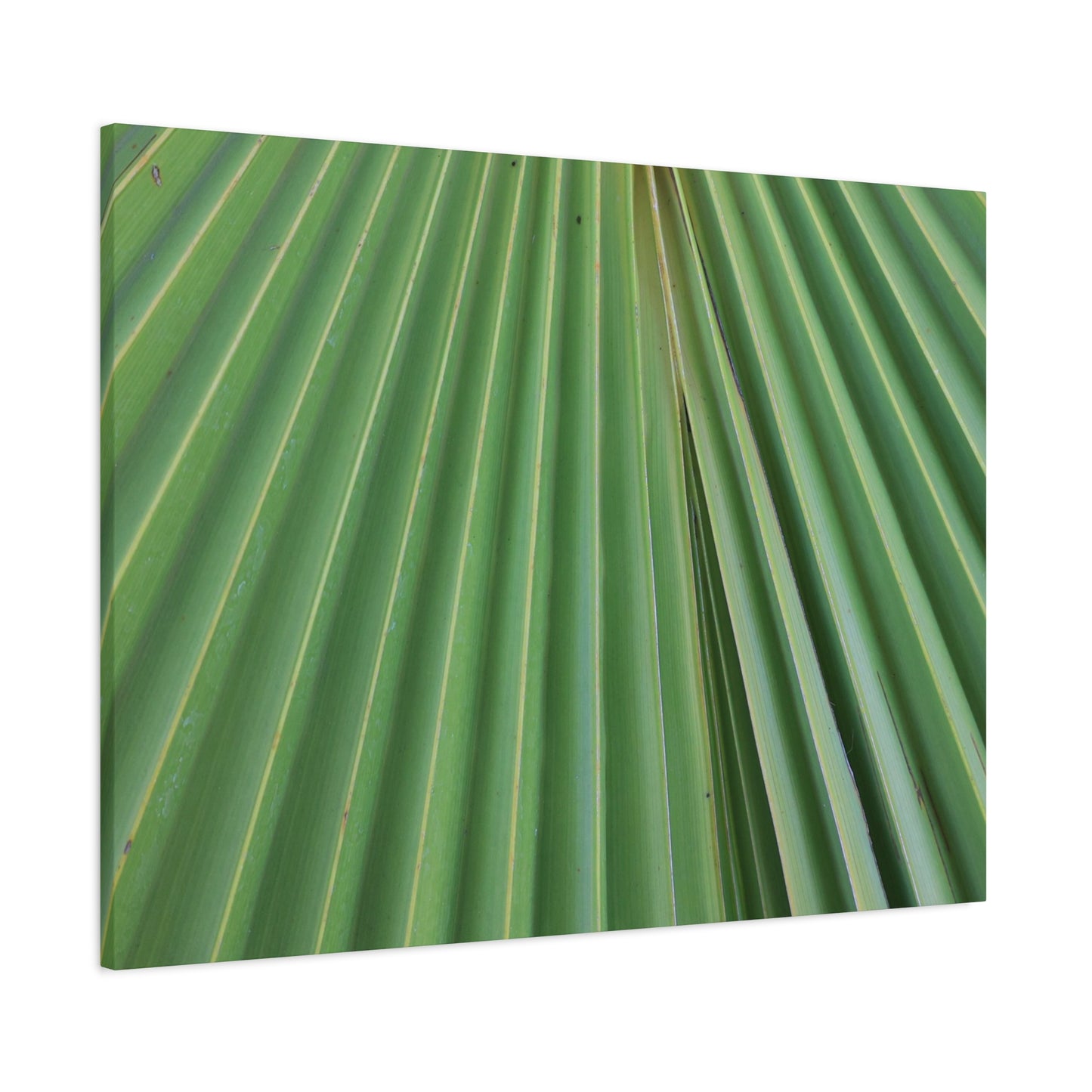 Fan of Green - Unique Frameless Canvas Wall Art